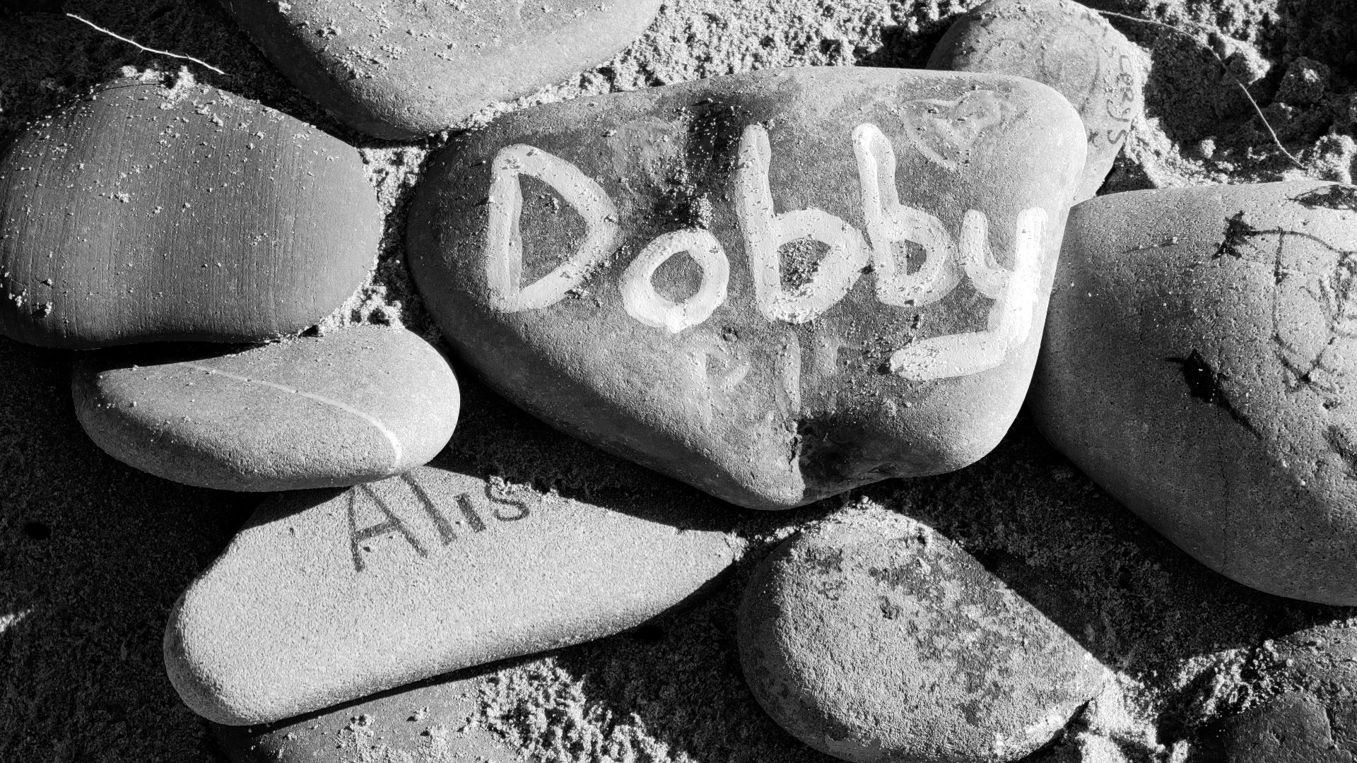 a black and white photo of rocks with the word dobby written on them