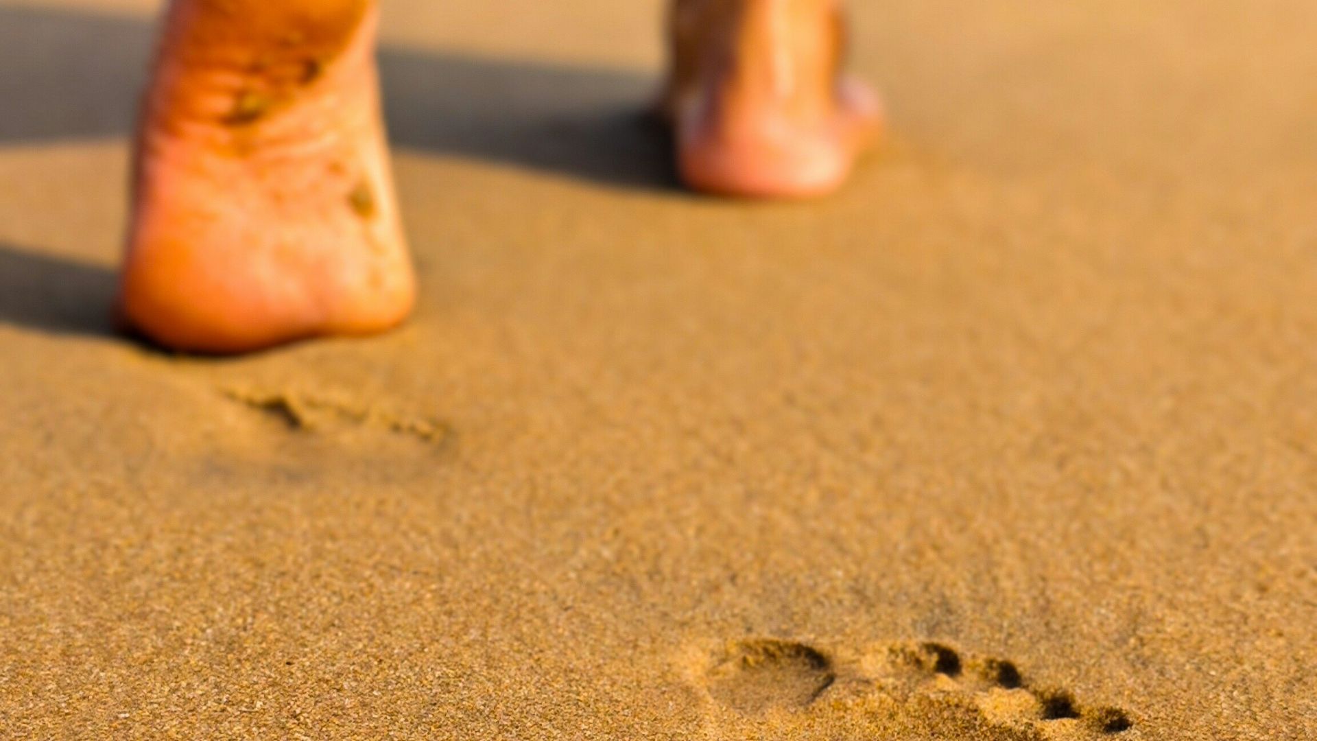 Footprints on a sandy beach leading away