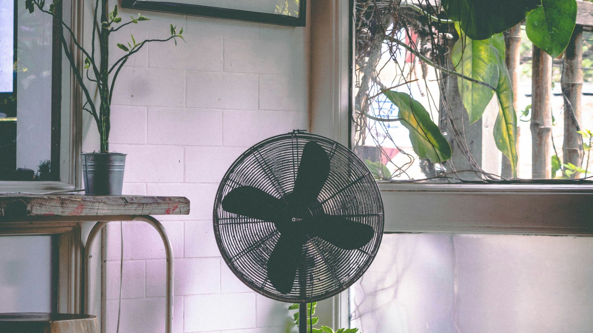 black pedestal fan near glass window