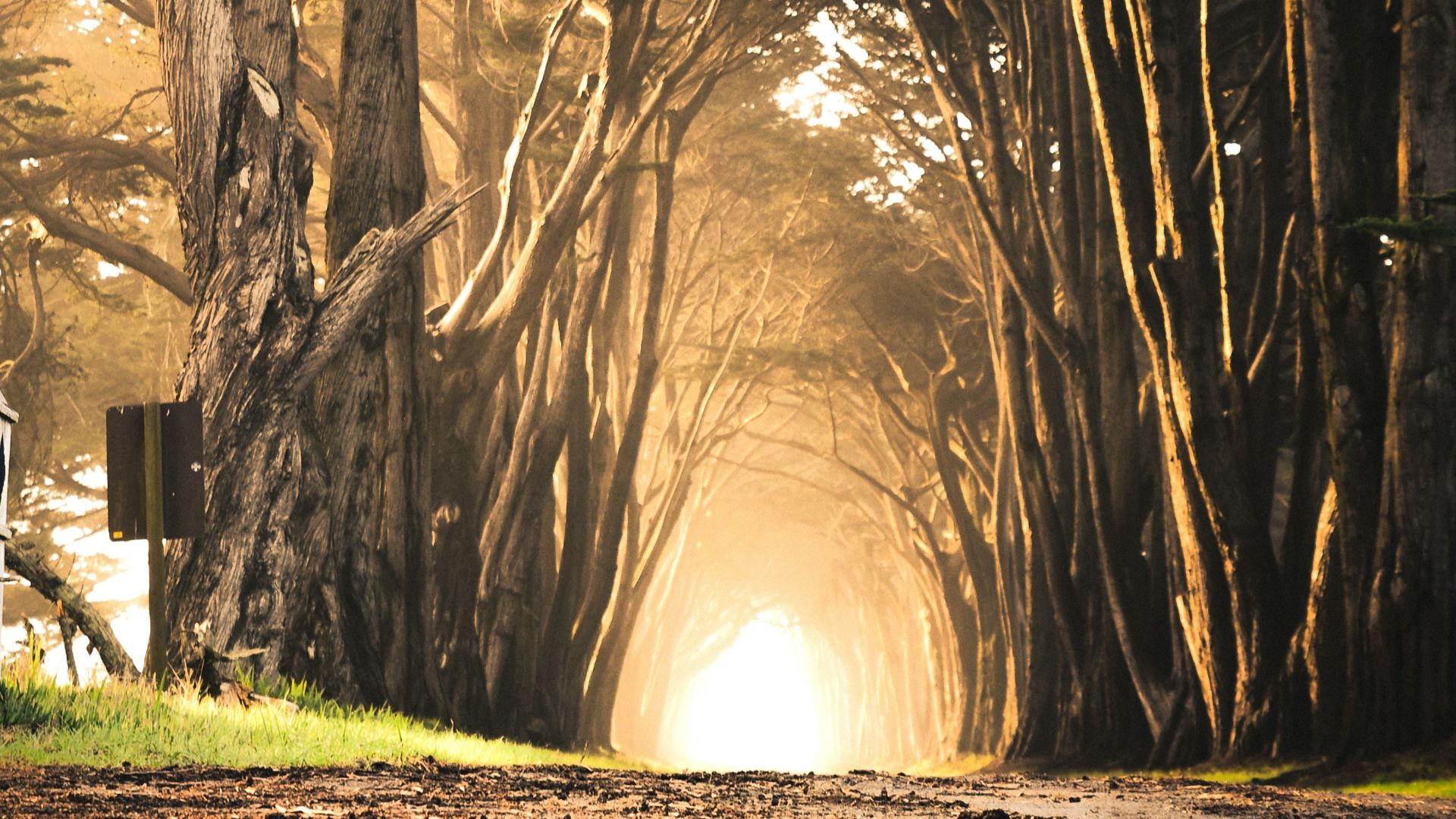 body of water in front of brown soil digital art