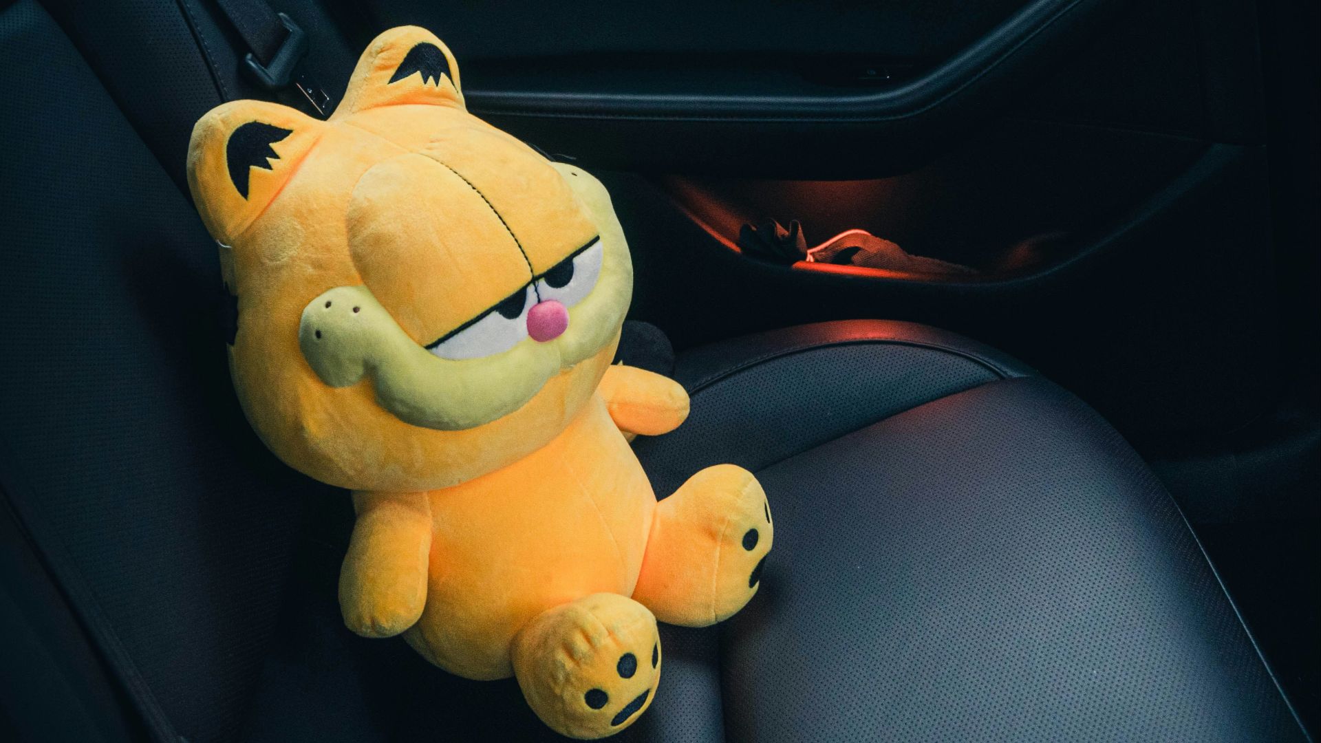 a stuffed animal sitting in the back seat of a car