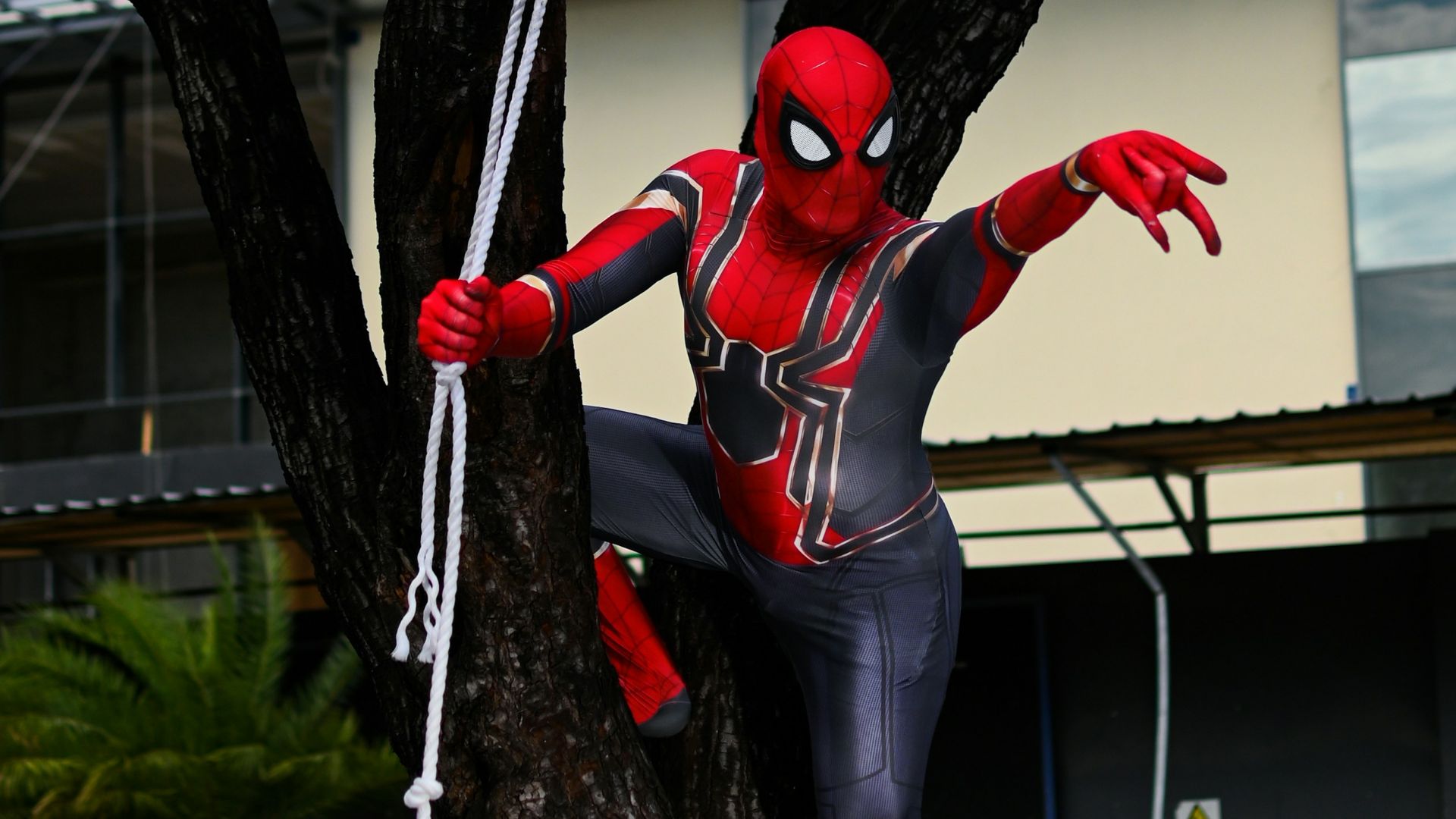 a man in a spiderman costume is climbing a tree