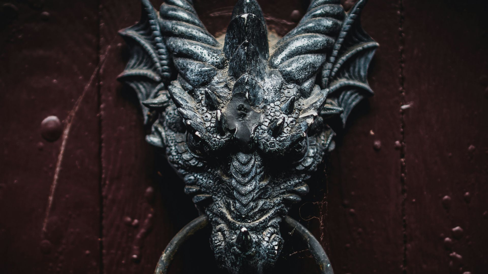 black dragon head wall decor