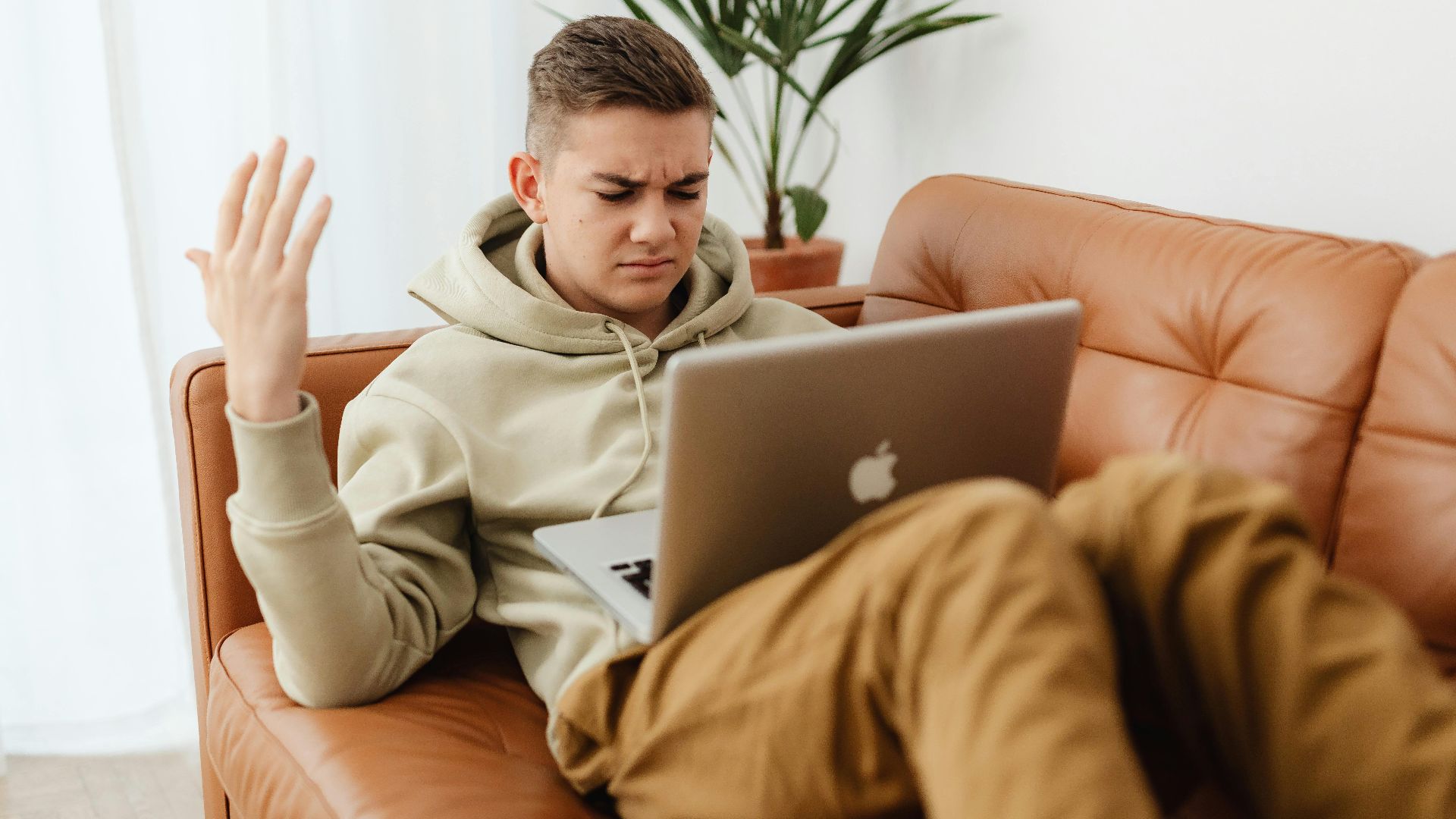 Karolina Grabowska www.kaboompics.com