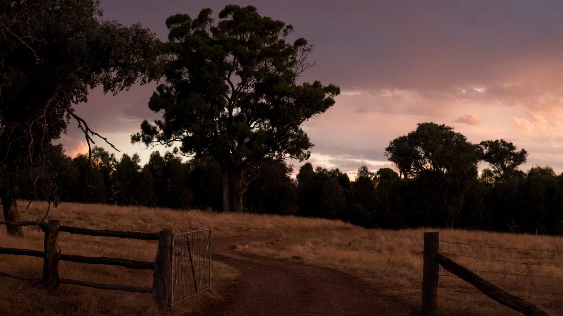 a dirt road with a fence and trees in the background