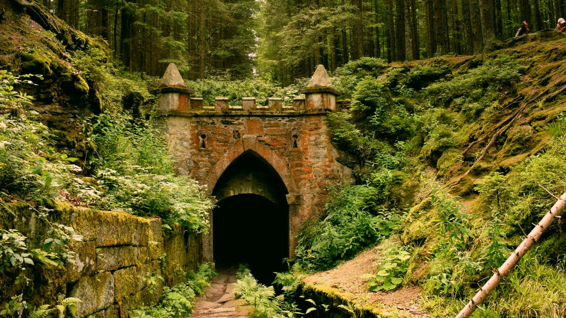 gray concrete tunnel under green trees