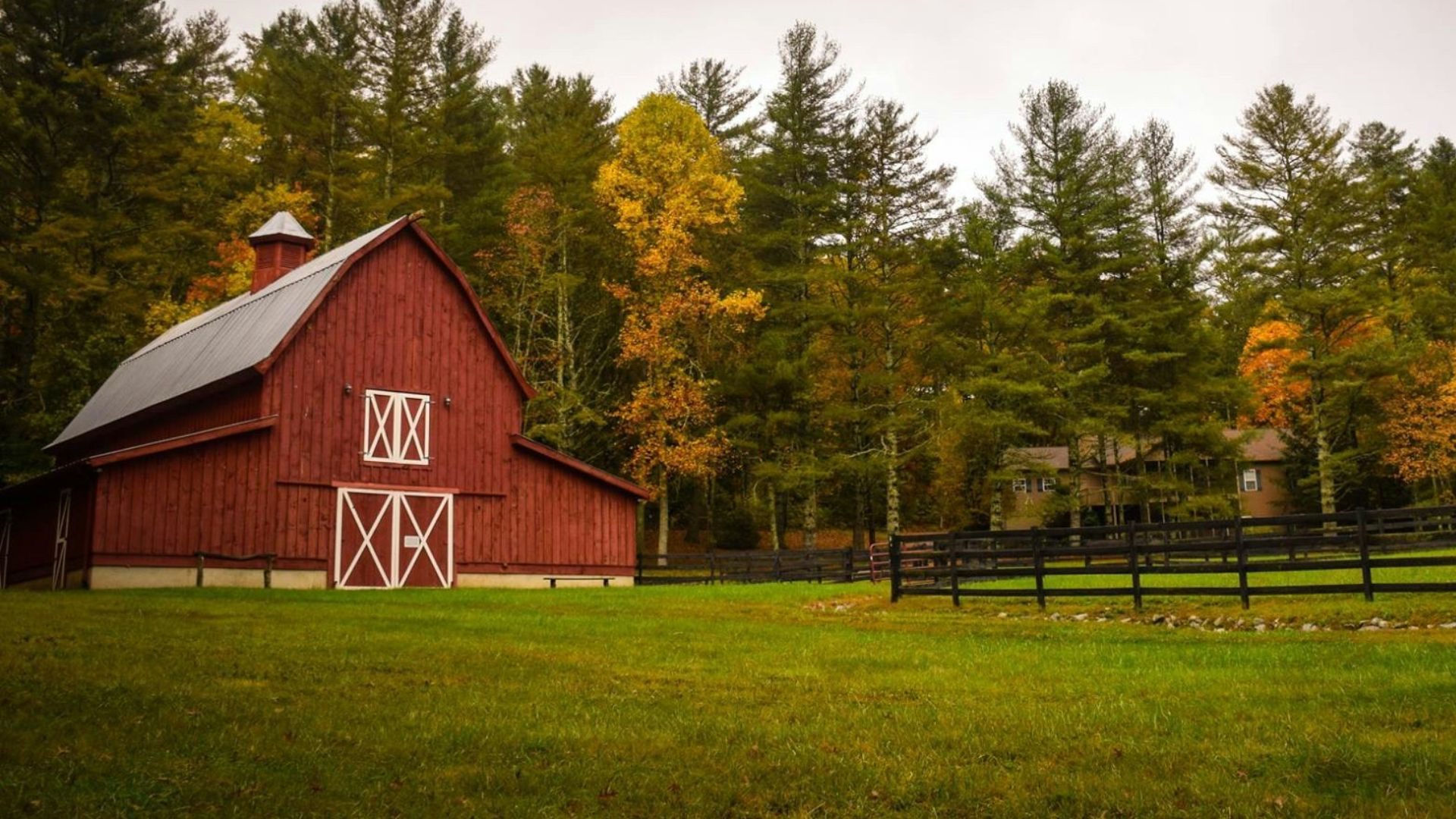 barn surrounded by trees