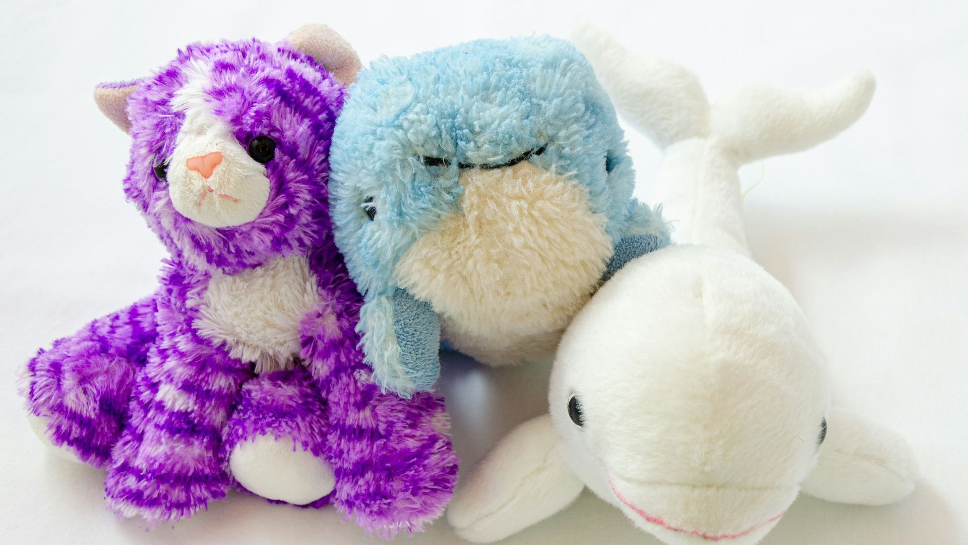 blue and purple bear plush toy