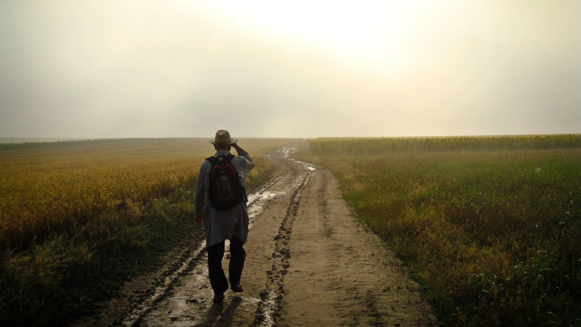 man walking in rice field