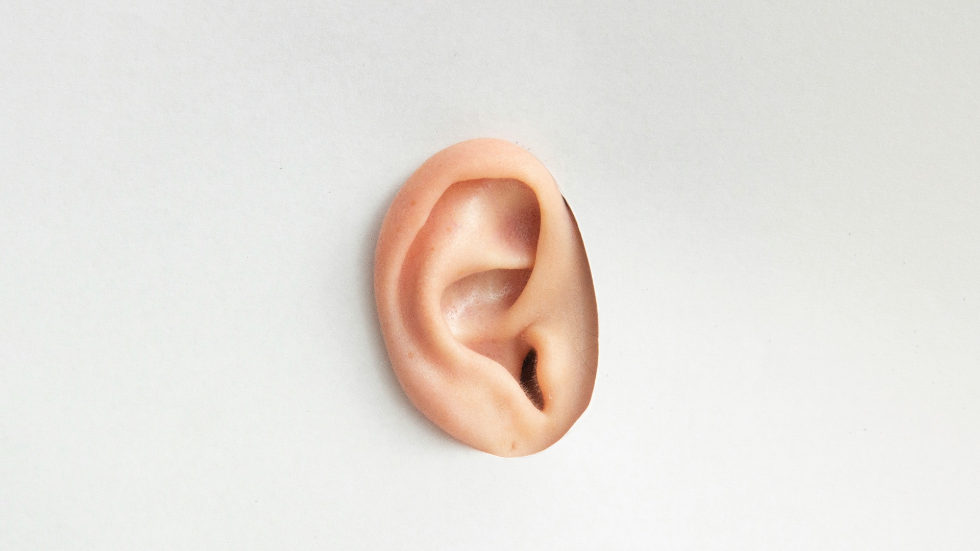 brown donut on white table