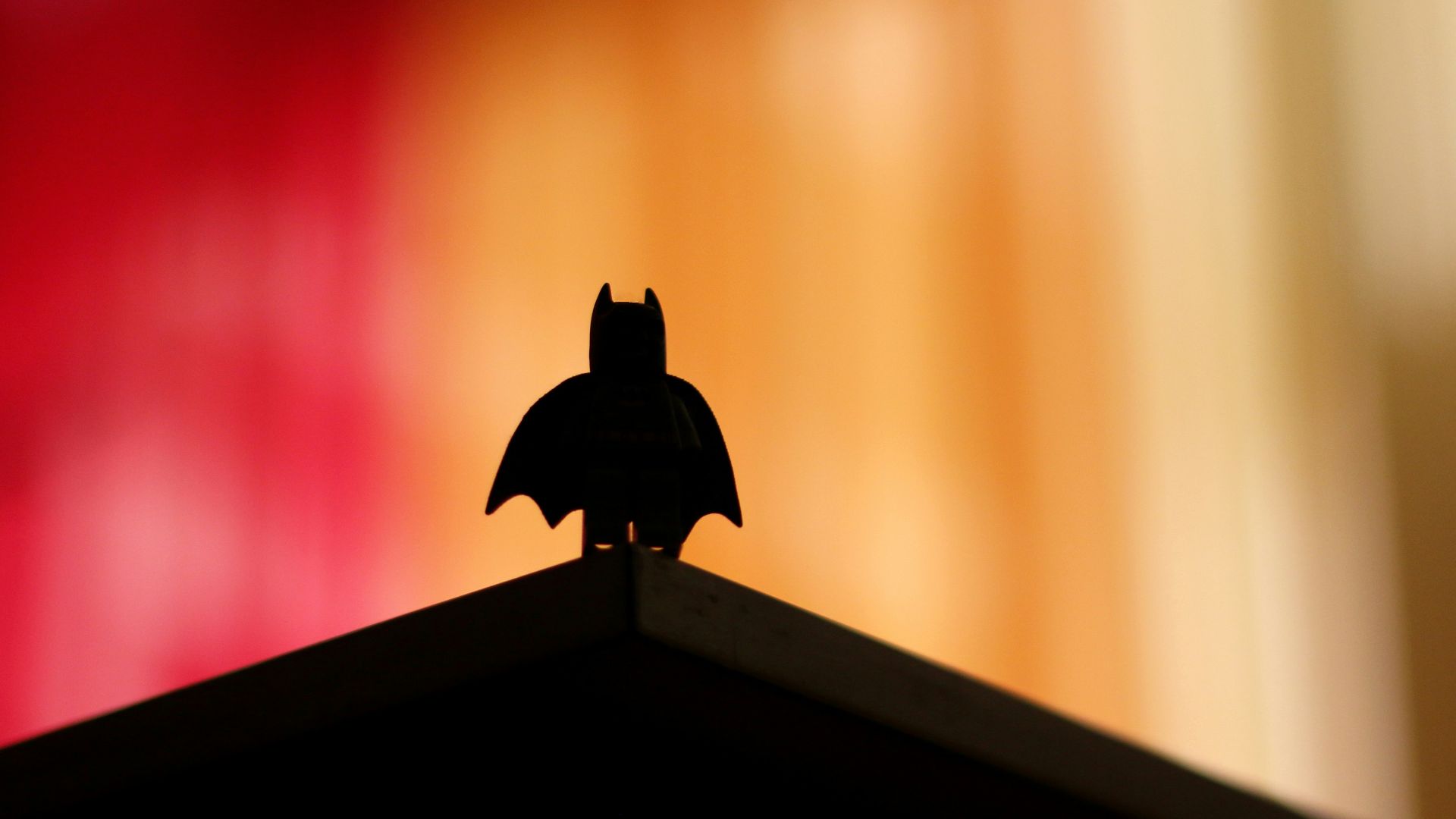silhouette of bird on top of brown wooden shelf