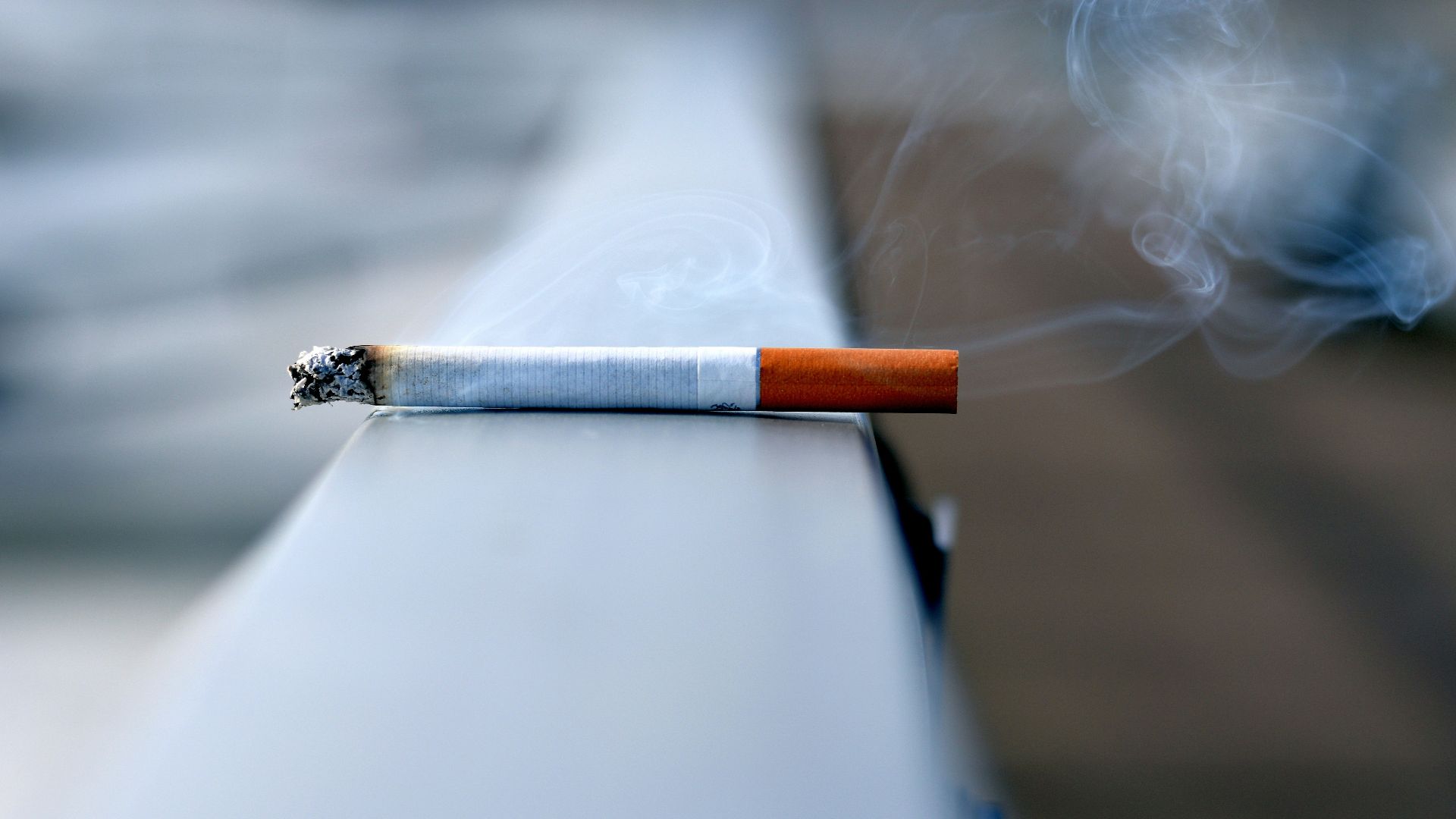 white cigarette stick on white wall
