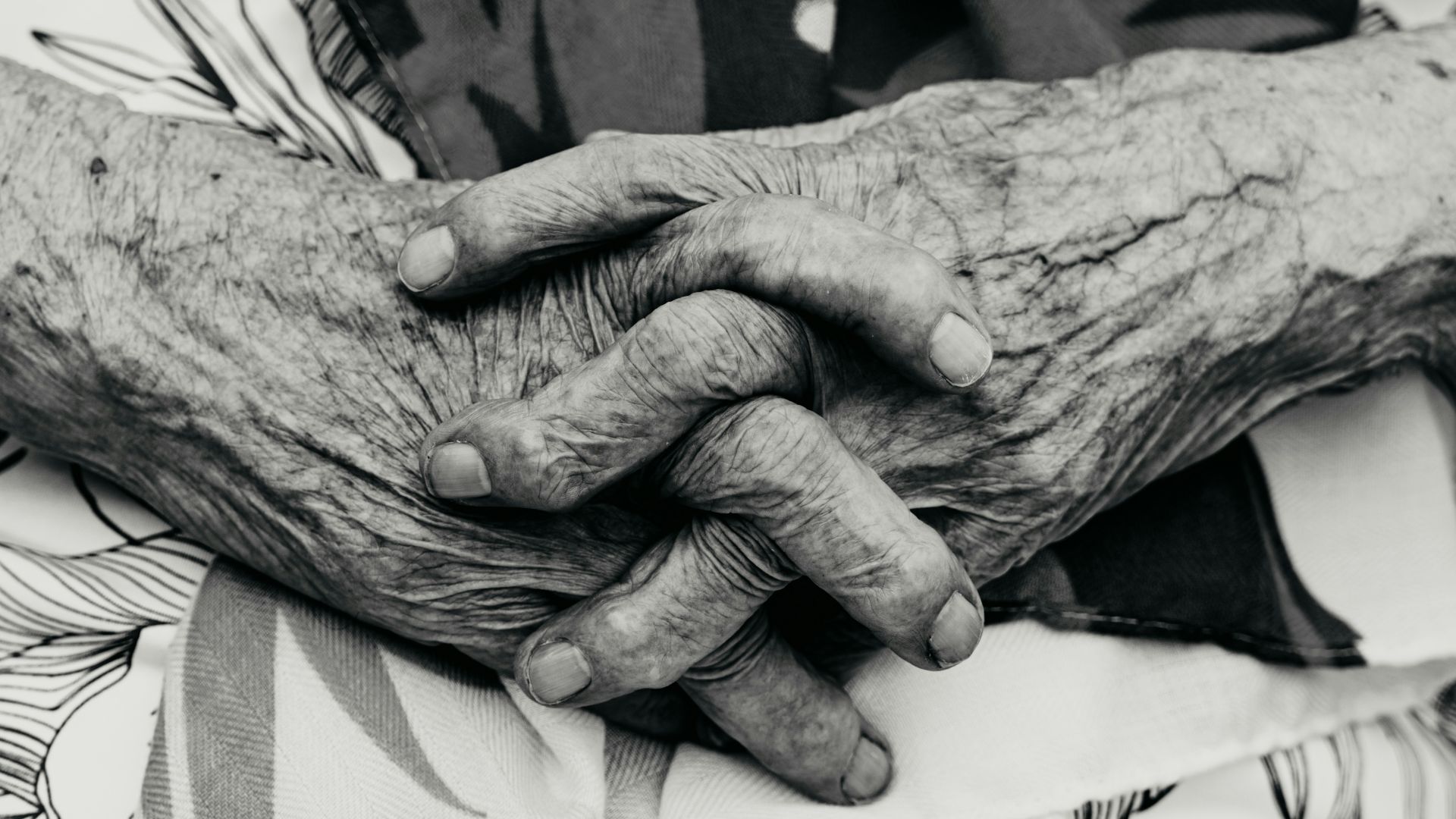 Close-up of elderly hands clasped together.