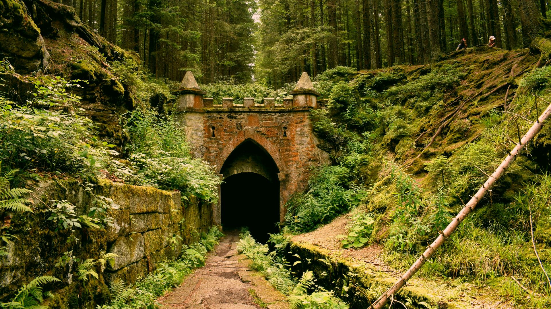 gray concrete tunnel under green trees