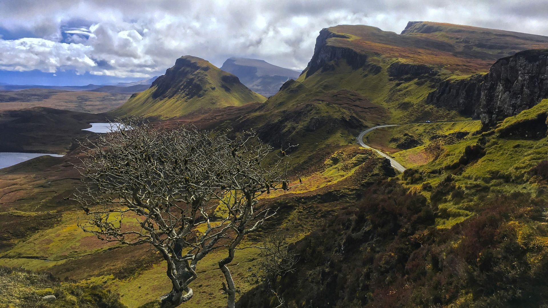 gray bare tree on mountain under cloudy sky