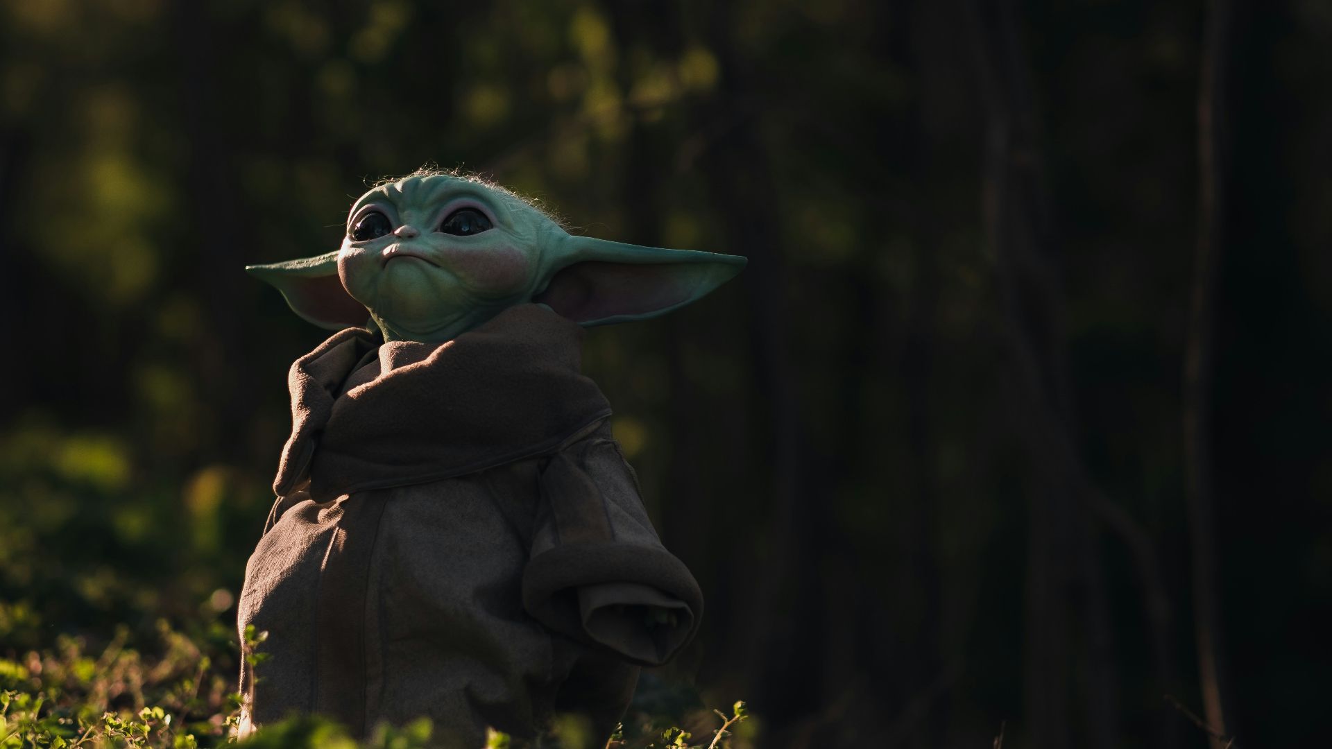 green bird on brown jacket