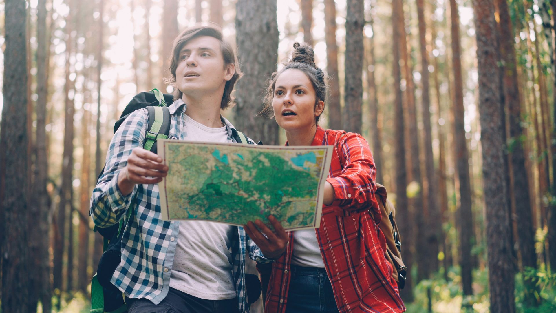 Couple looking at map while hiking in forest