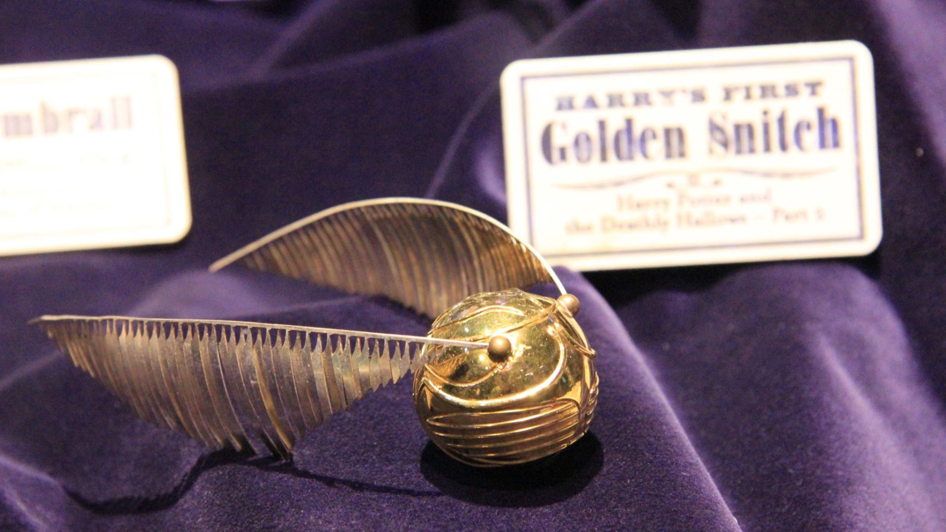 File:The Making of Harry Potter 29-05-2012 (Golden Snitch).jpg