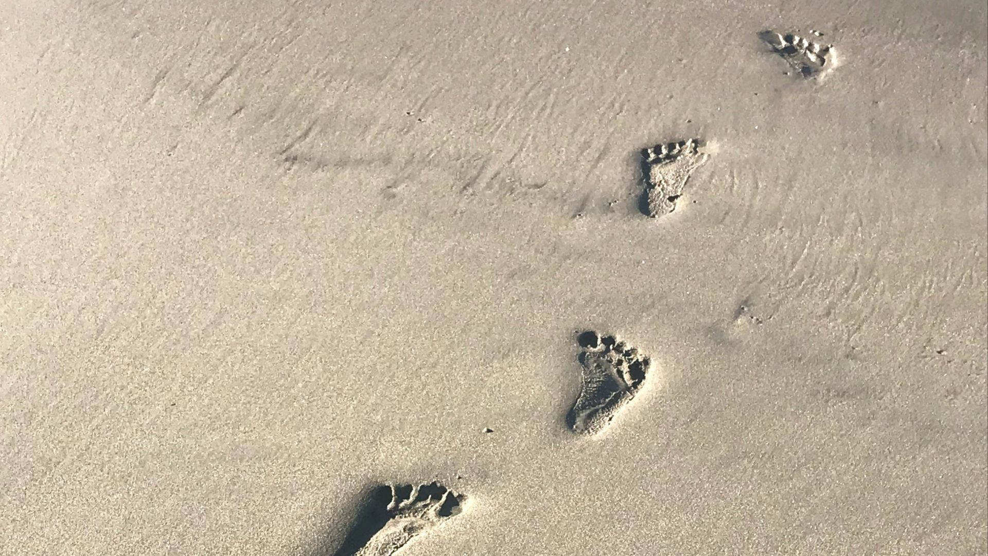 footprints on brown sand