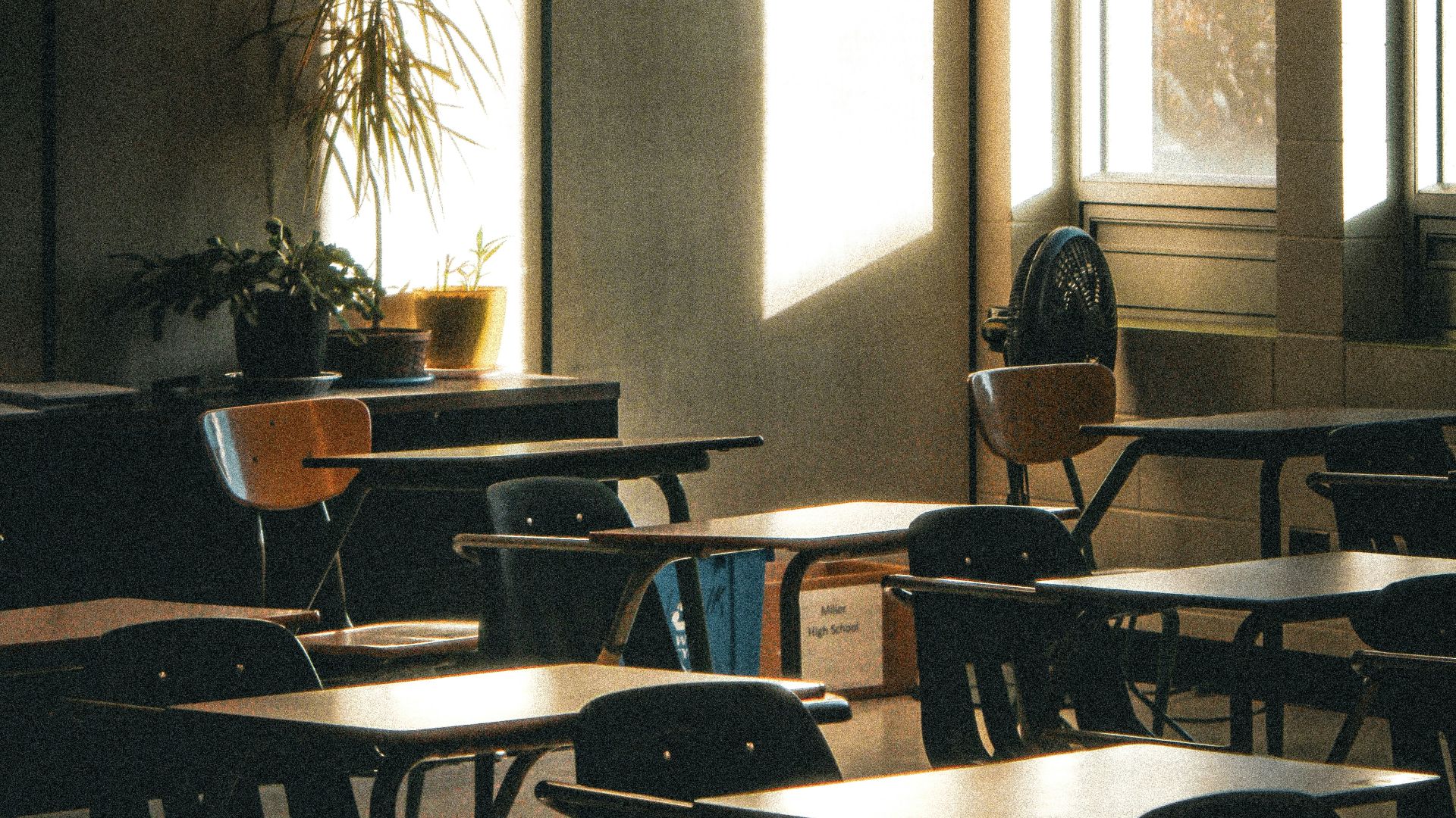 Sunlight streams into an empty classroom with desks.