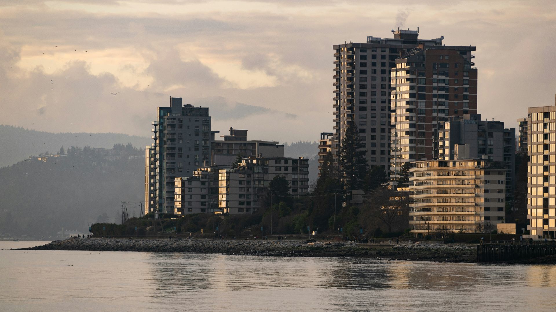 a body of water with a city in the background