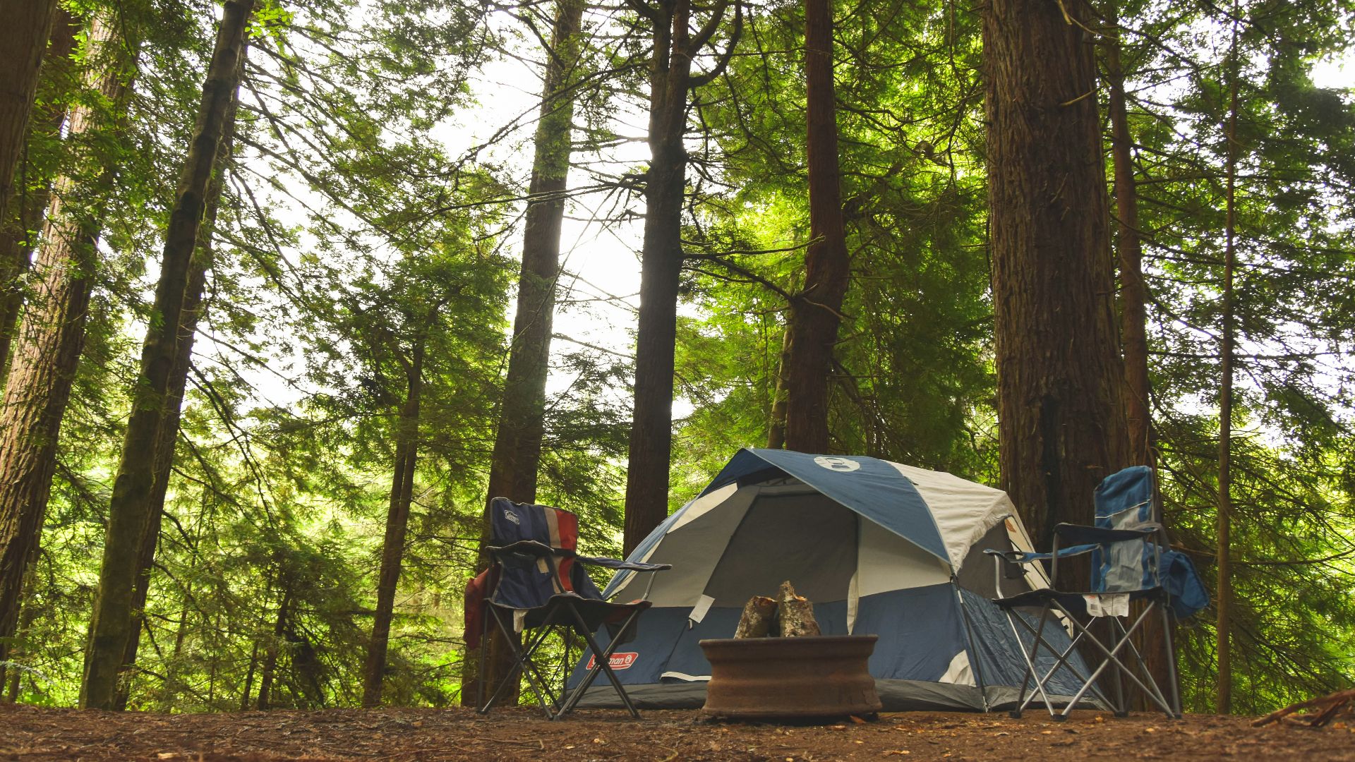 two blue camping chairs near camping tent