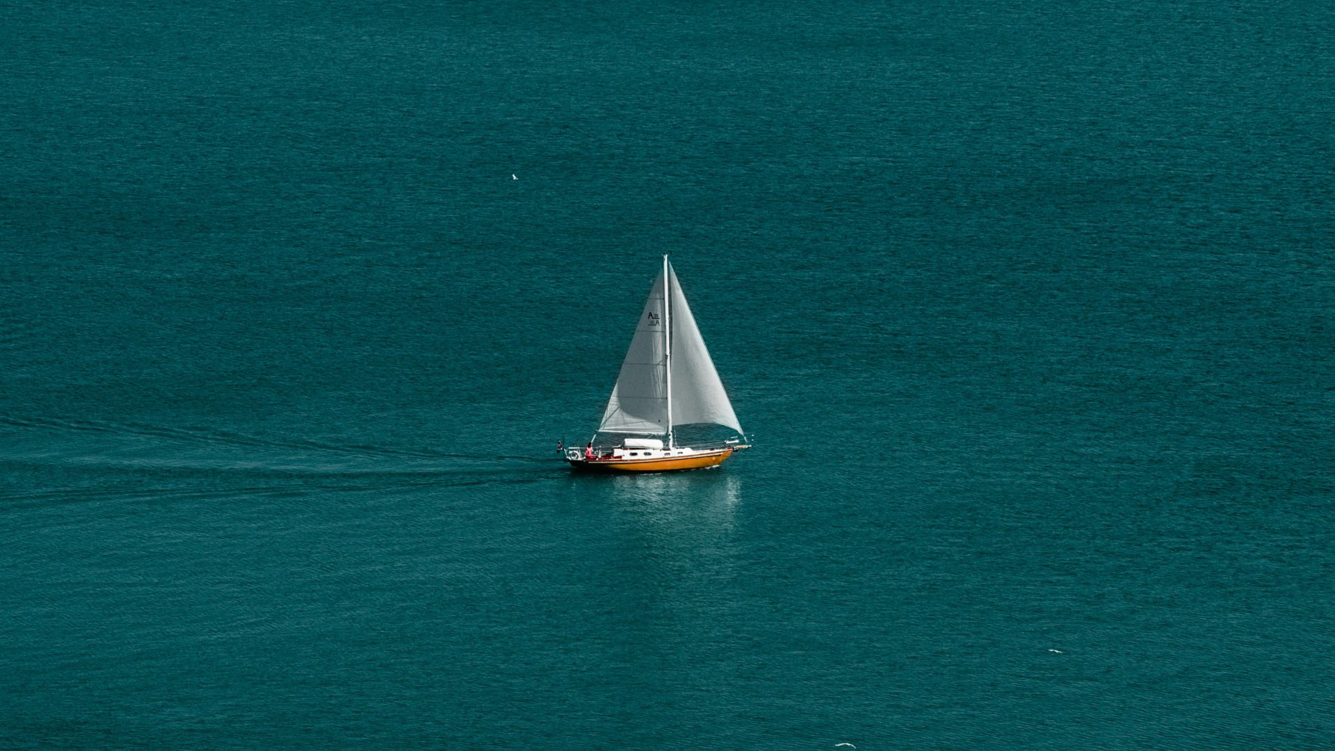 white and brown boat in body of water