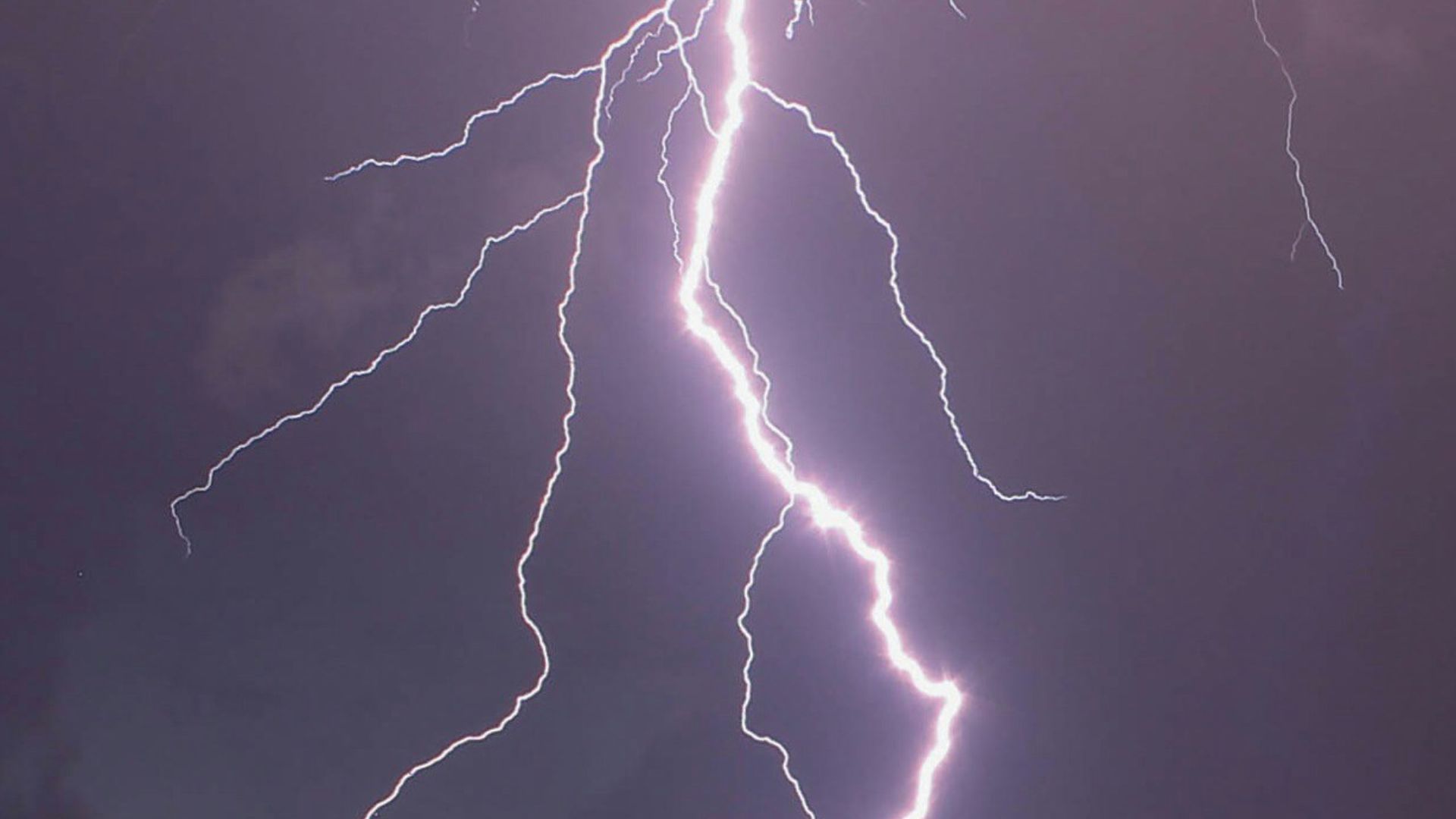 thunder through field