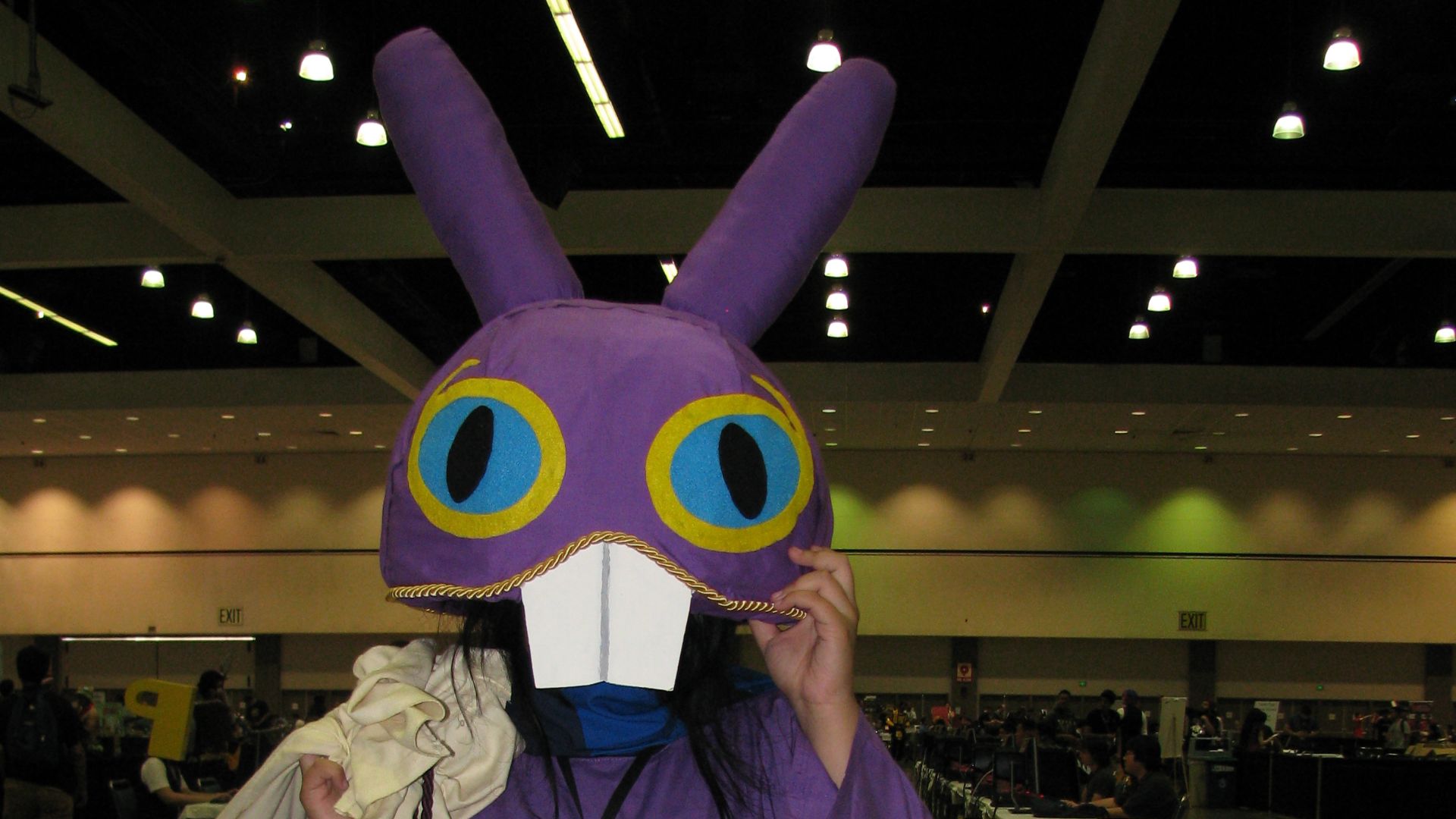 File:Anime Expo 2014 - Ravio cosplay.jpg