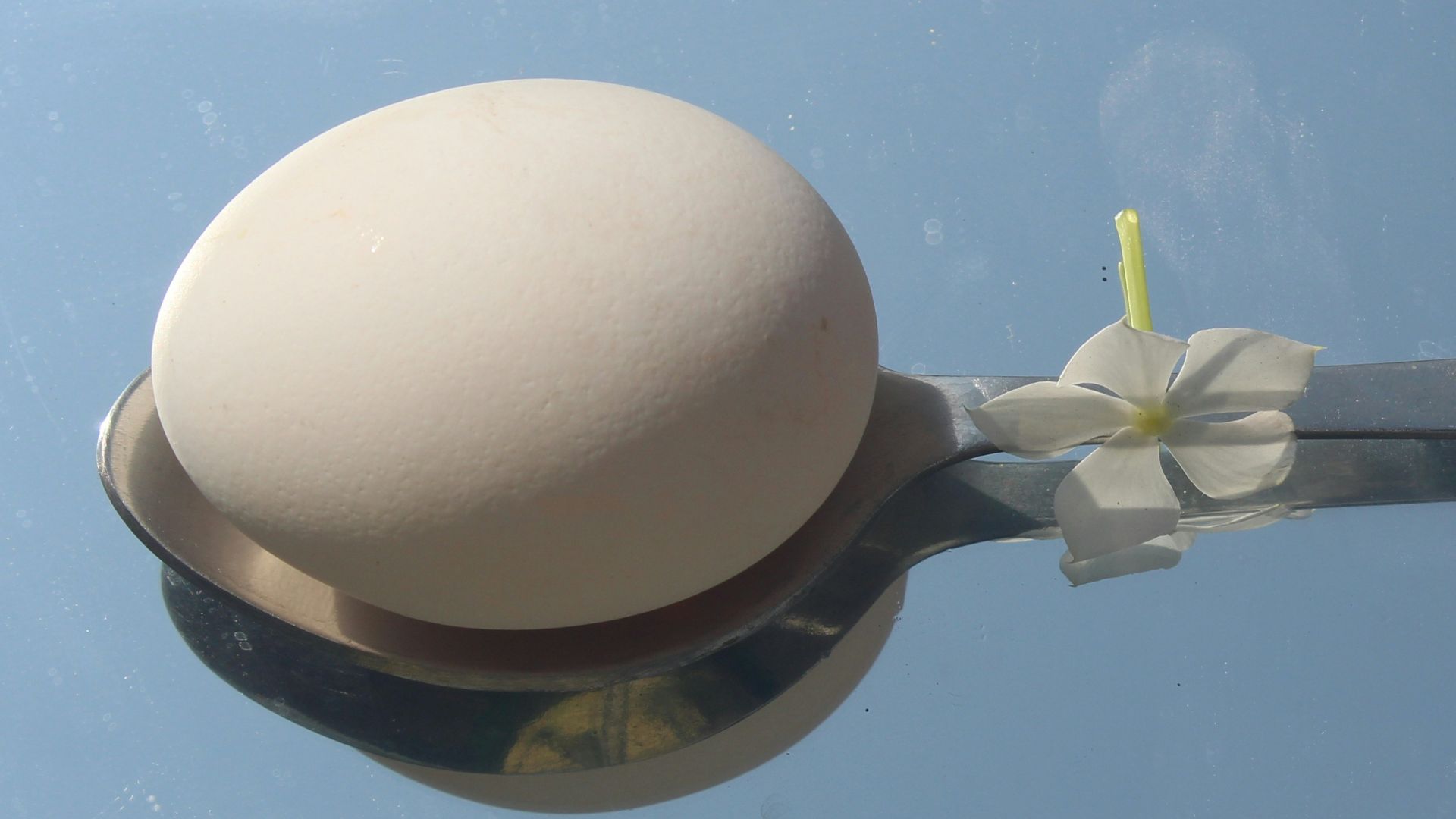 a street light with white flowers on it