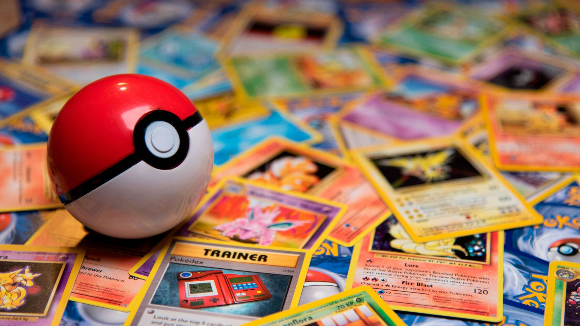 red and white ladybug toy on white and yellow book