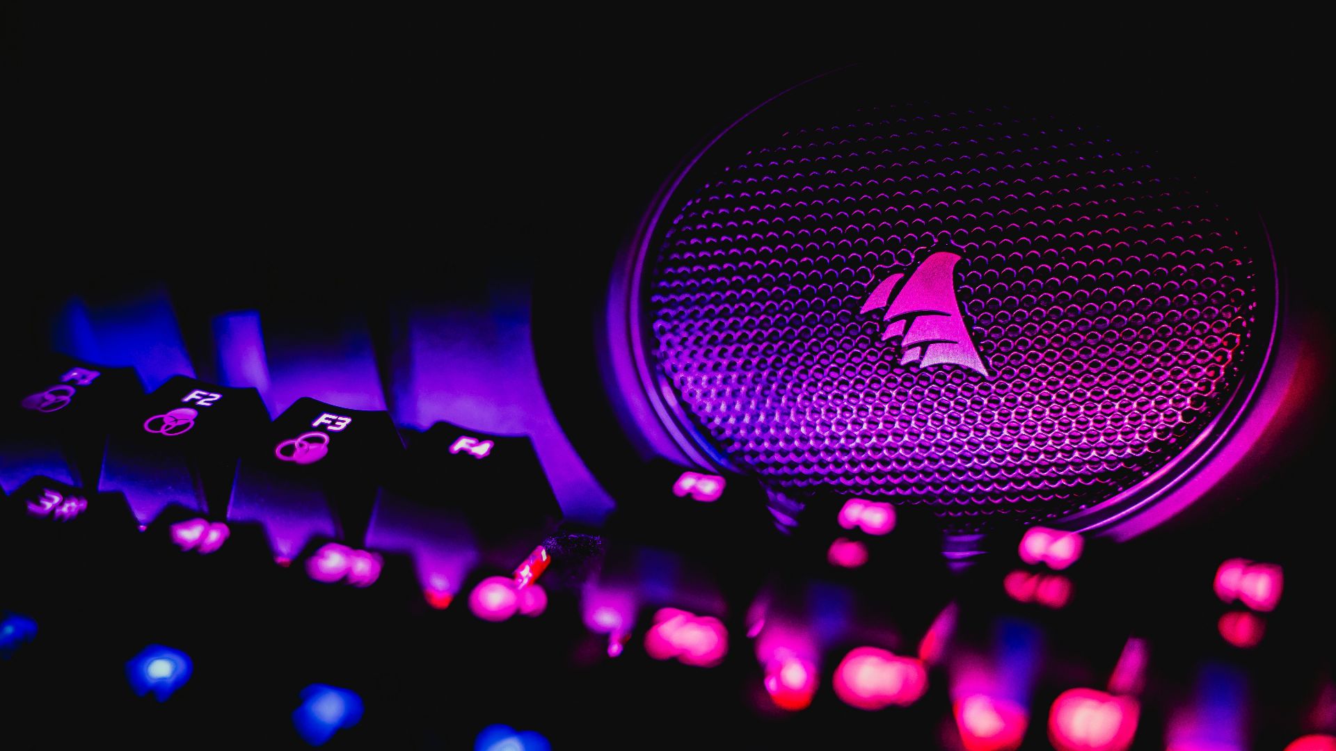 purple and blue lights in dark room