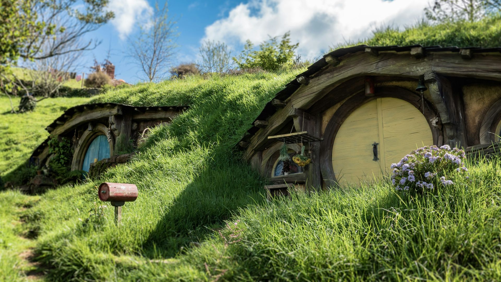 landscape photography of brown wooden house with trees around