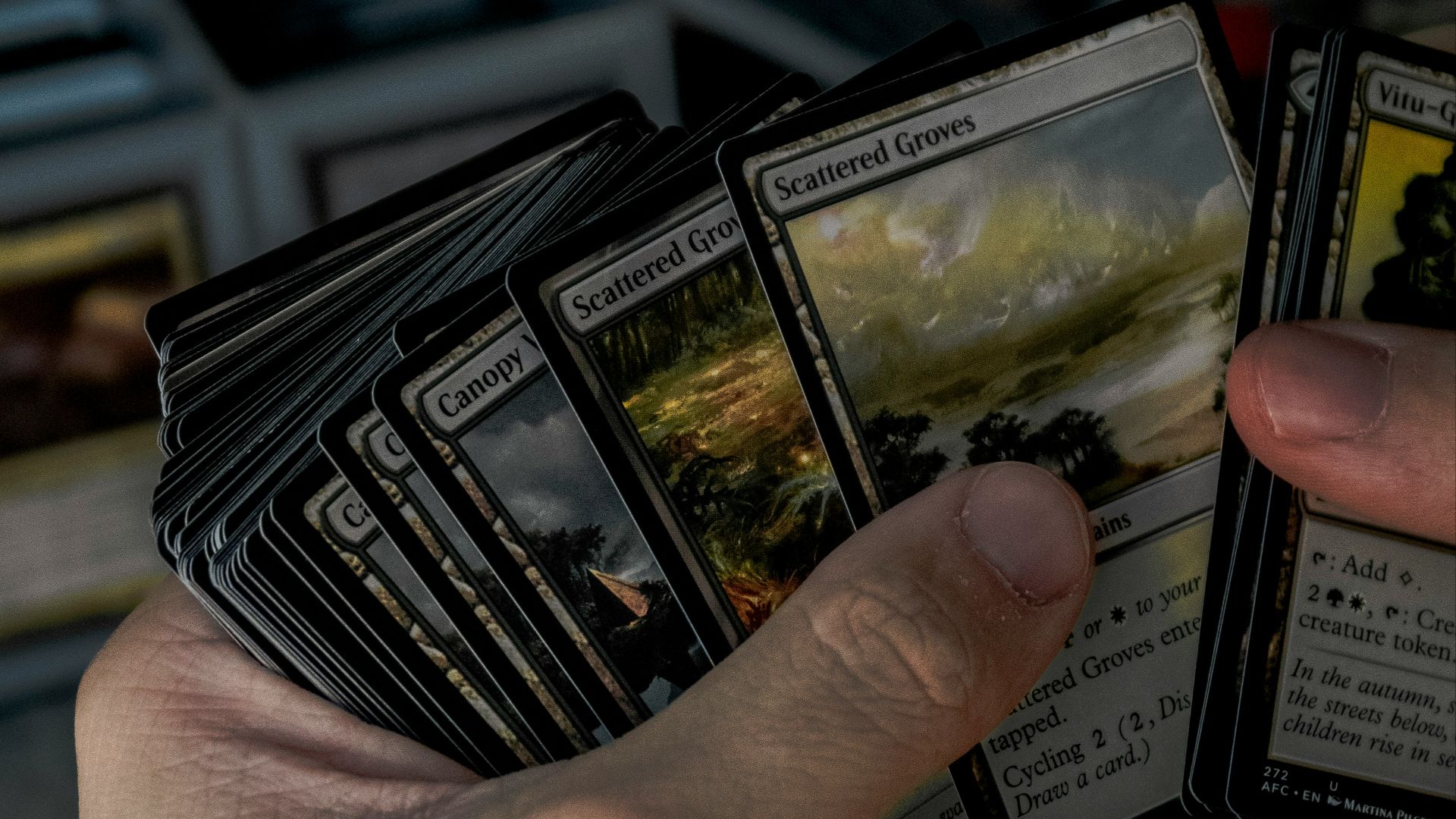 A person holding a bunch of cards in their hands