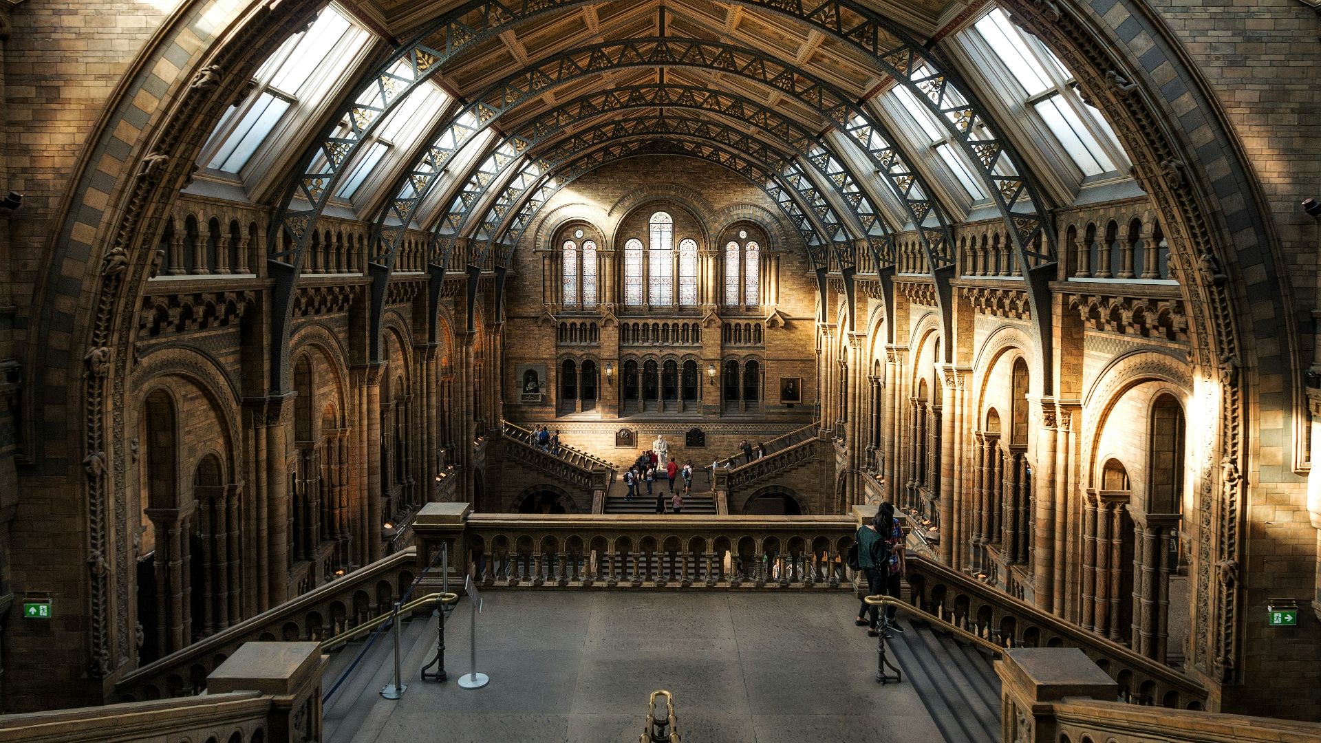 brown cathedral during daytimer