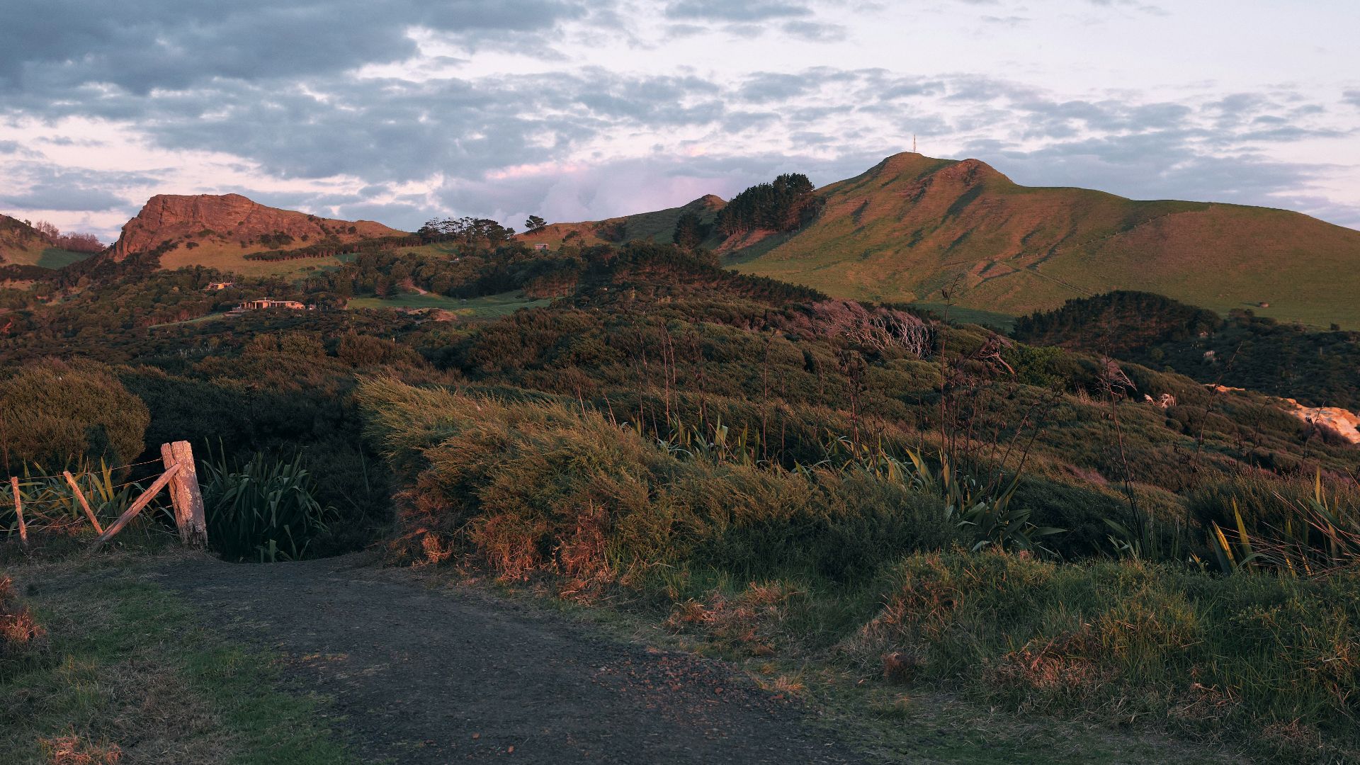 Rolling hills and grassy landscape at dusk