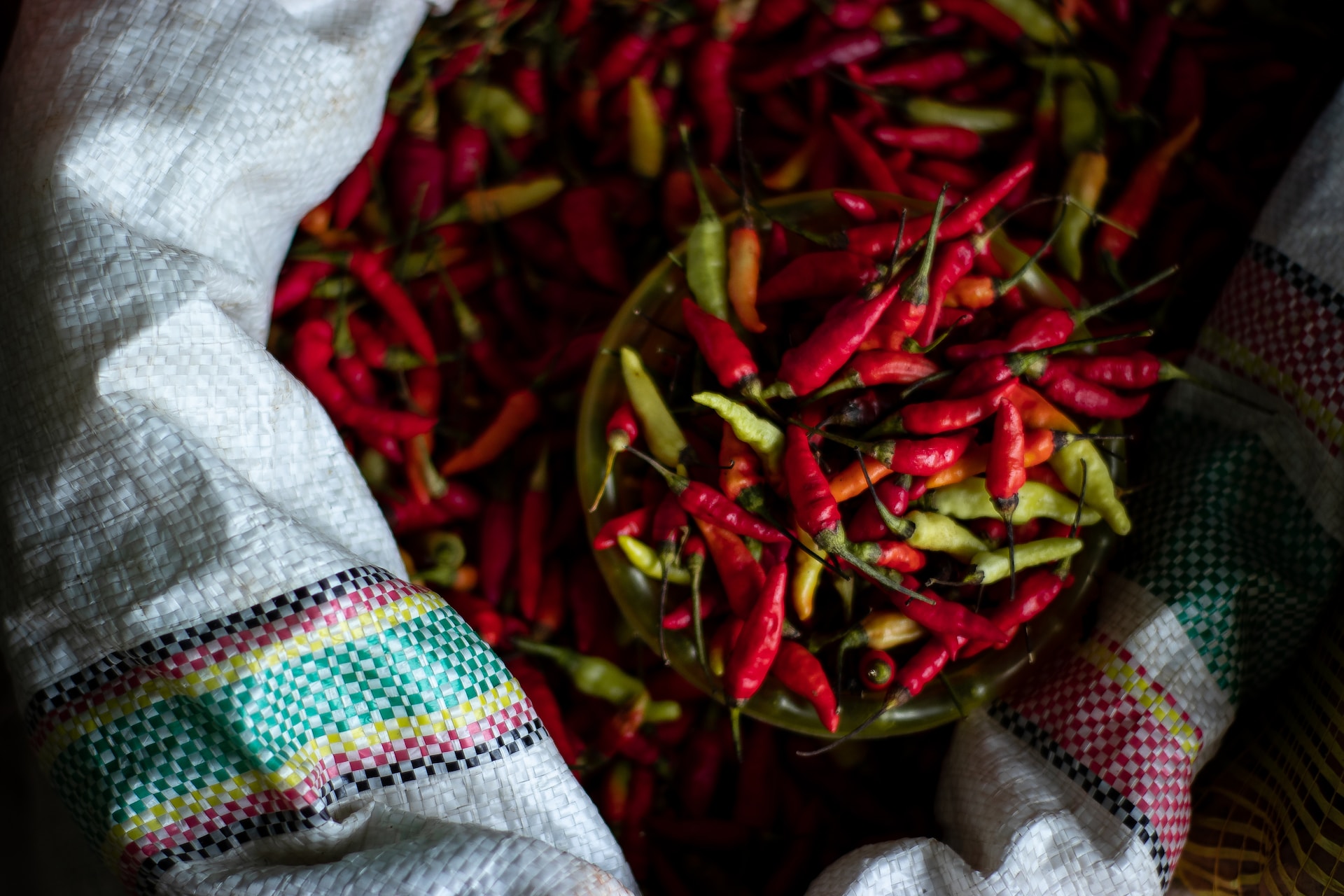 tanushree-rao-yj0eN2meINw-unsplash.jpg