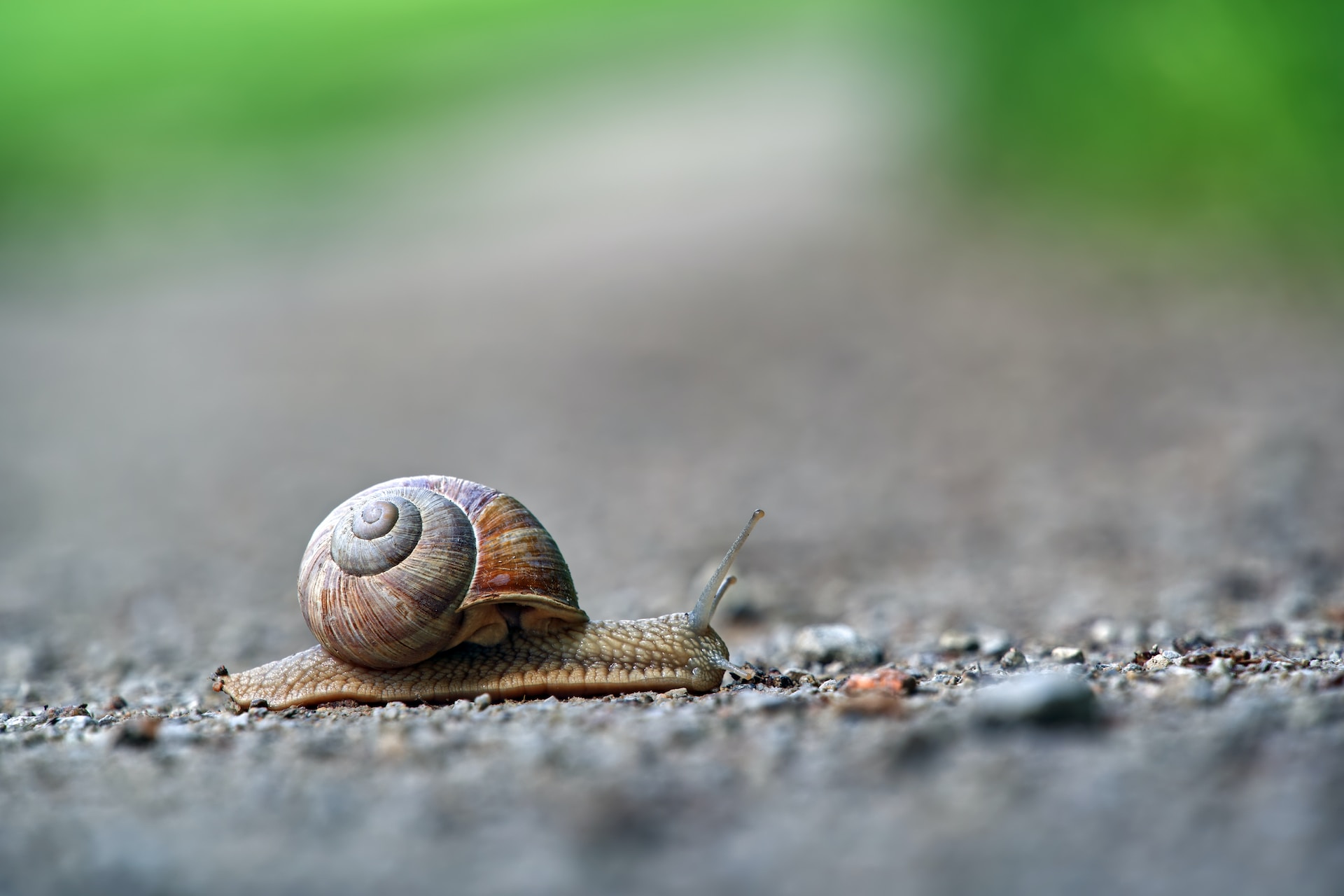 wolfgang-hasselmann-_kTvNCb7gZA-unsplash.jpg