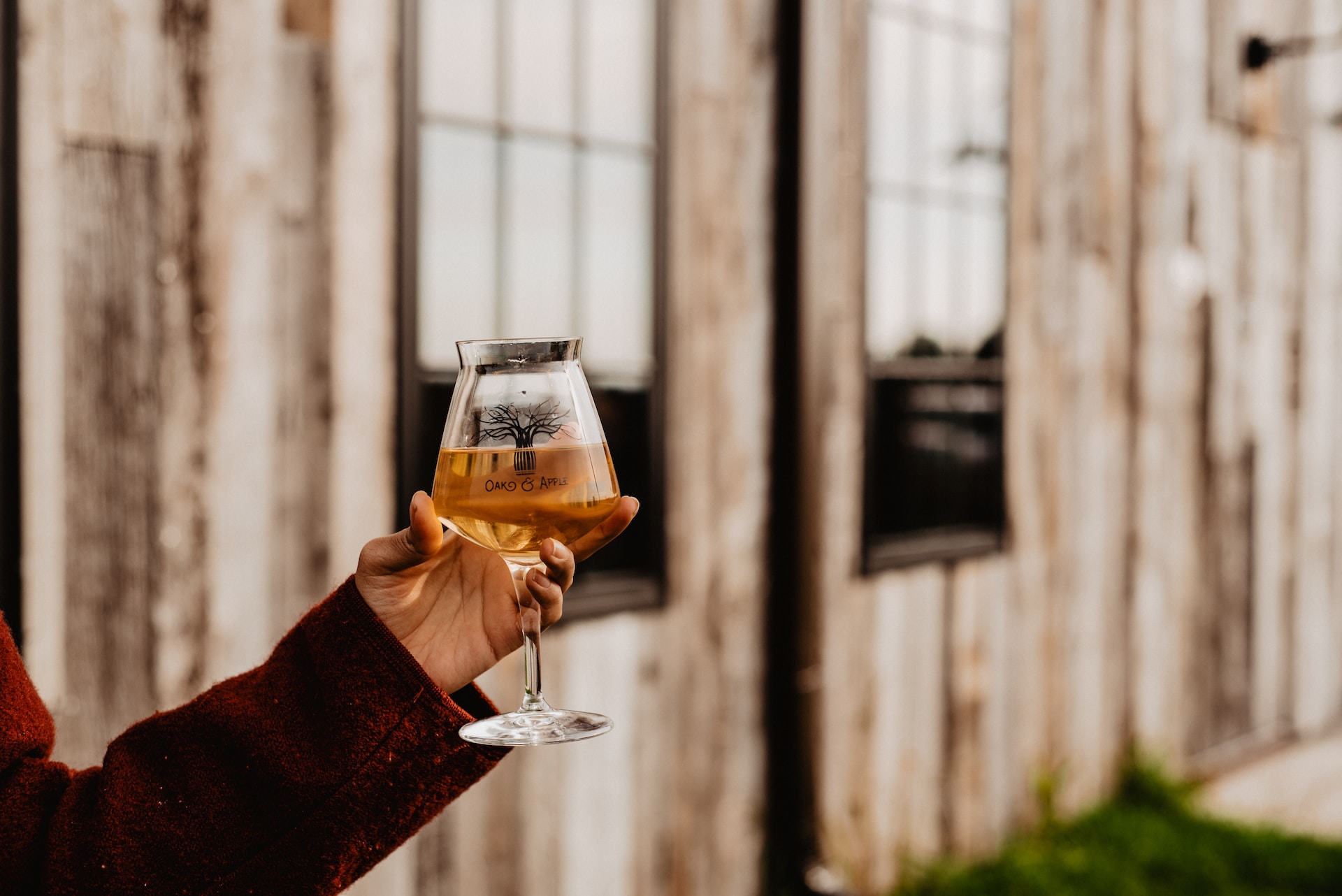 Olivia-Bauso-Tj G30Qz0Ig-Unsplash
