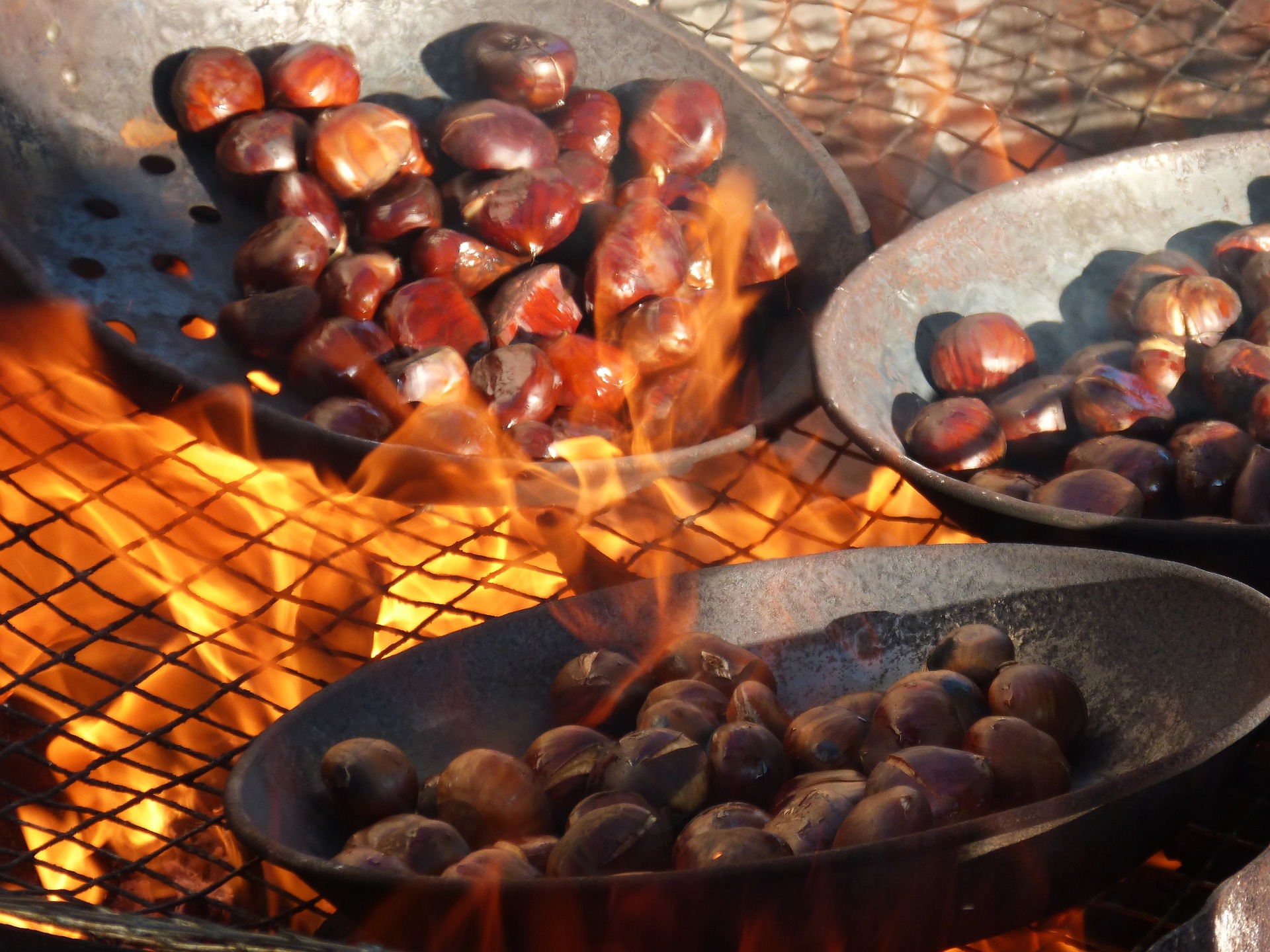 Chestnuts-1783878 1920