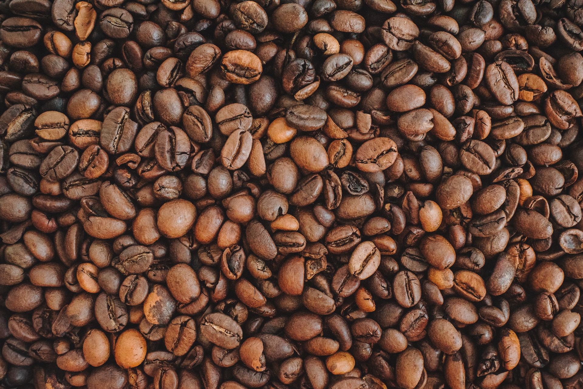 Anastasiia-Chepinska-Lcfh0P6Emhw-Unsplash