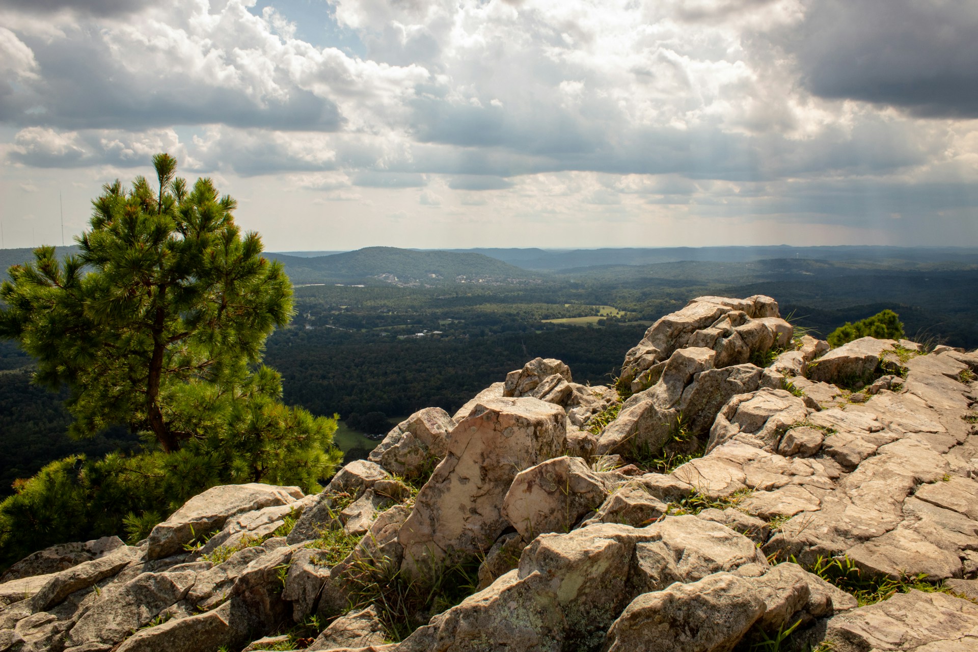 Joshua-J-Cotten-Mdiifygtoxw-Unsplash