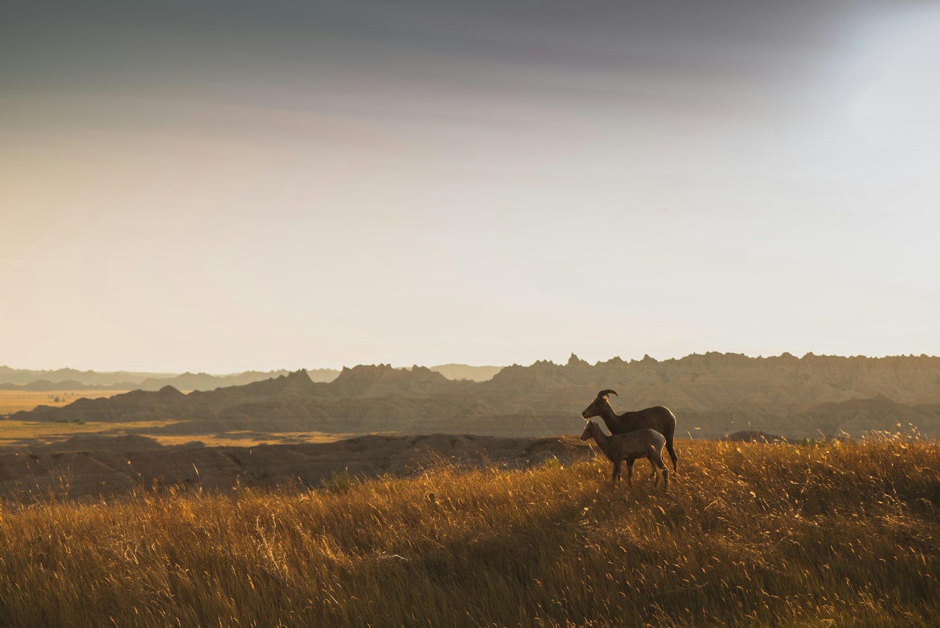 Linhao-Zhang-Ncavu-Orclw-Unsplash
