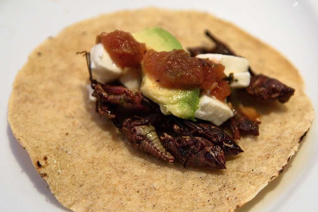 1024Px-01 Tacos De Chapulines
