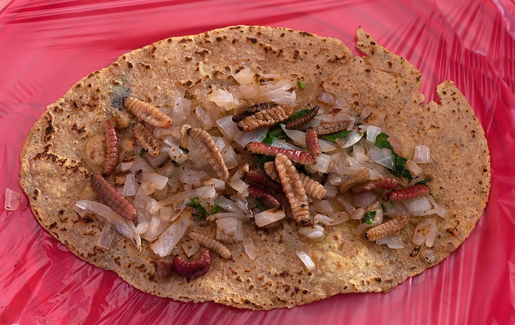 1024Px-Taco De Gusanos De Maguey Mexico