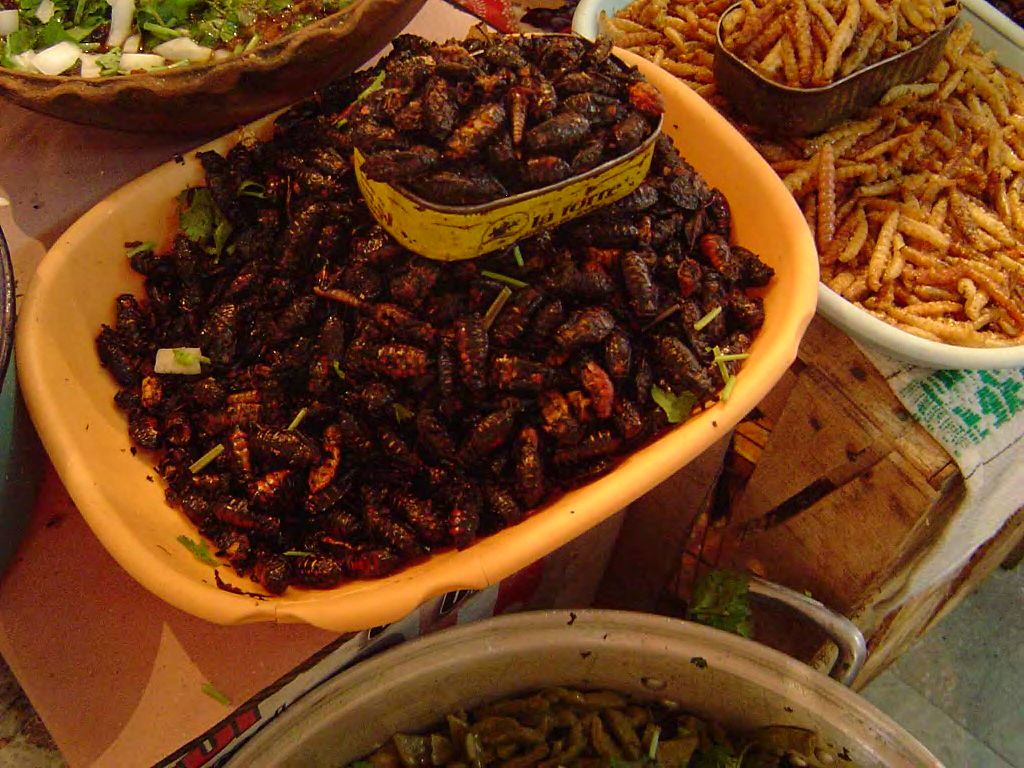 1024Px-Chahuis, Tula, Mexico