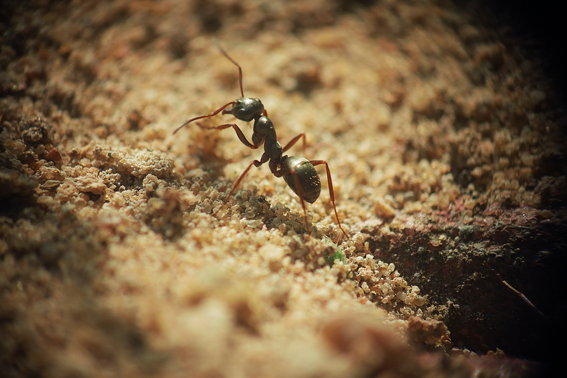 R0M0 4--1Kbnqjosxk-Unsplash (1)