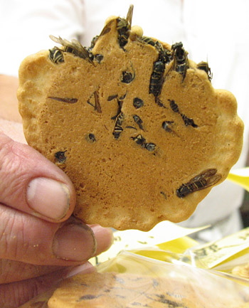 Wasp Cookie Japan.