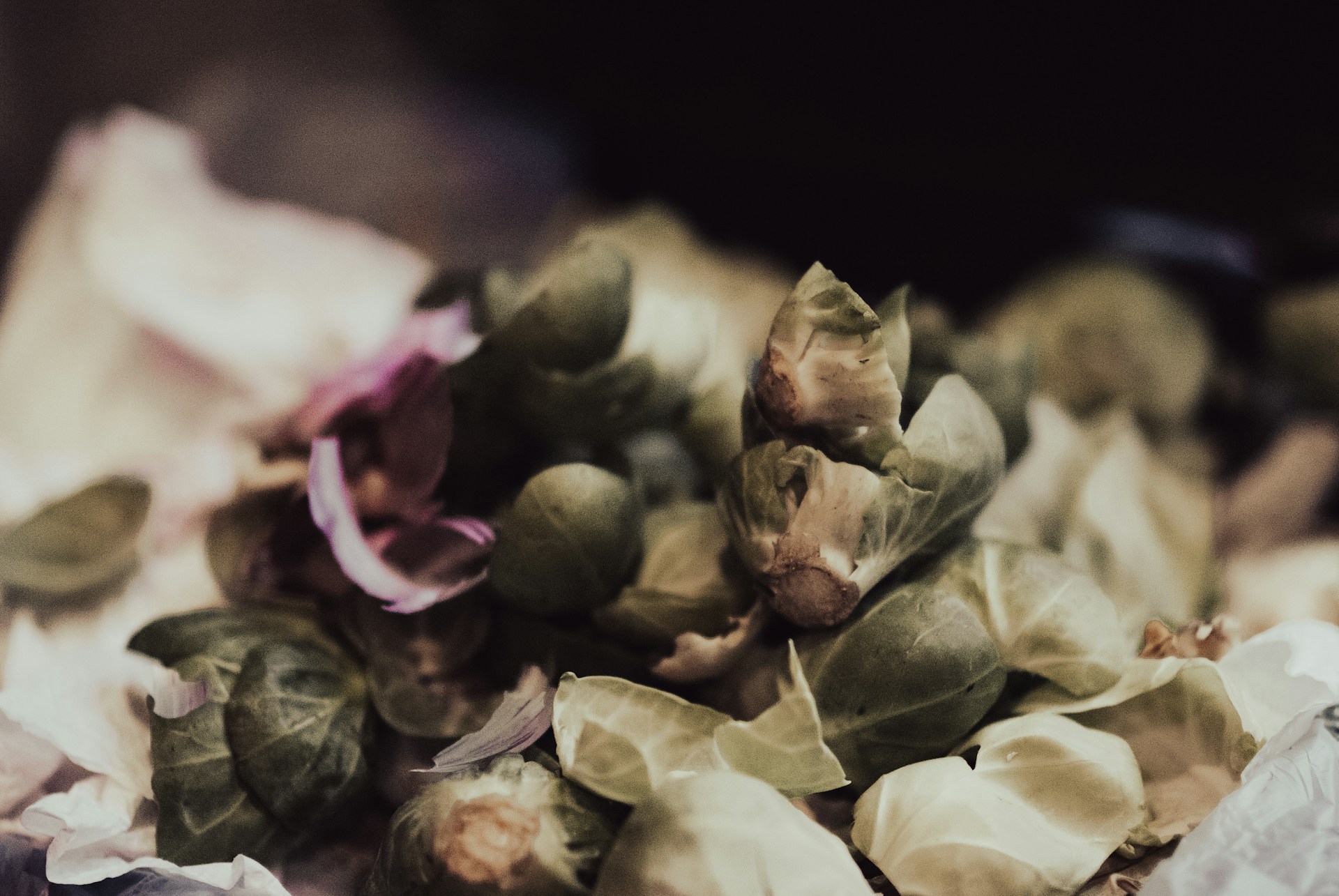 Jaye-Haych-Bksh5Scyryo-Unsplash