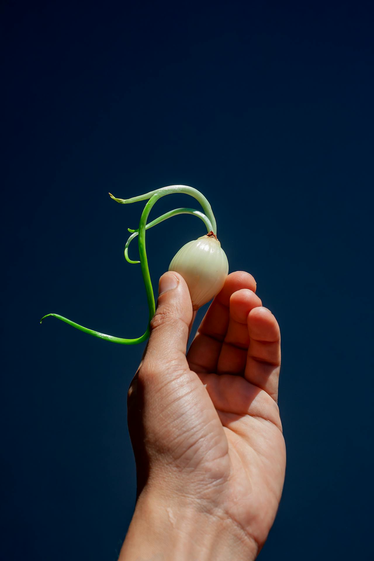 Pexels-Arturoaez220-17821228